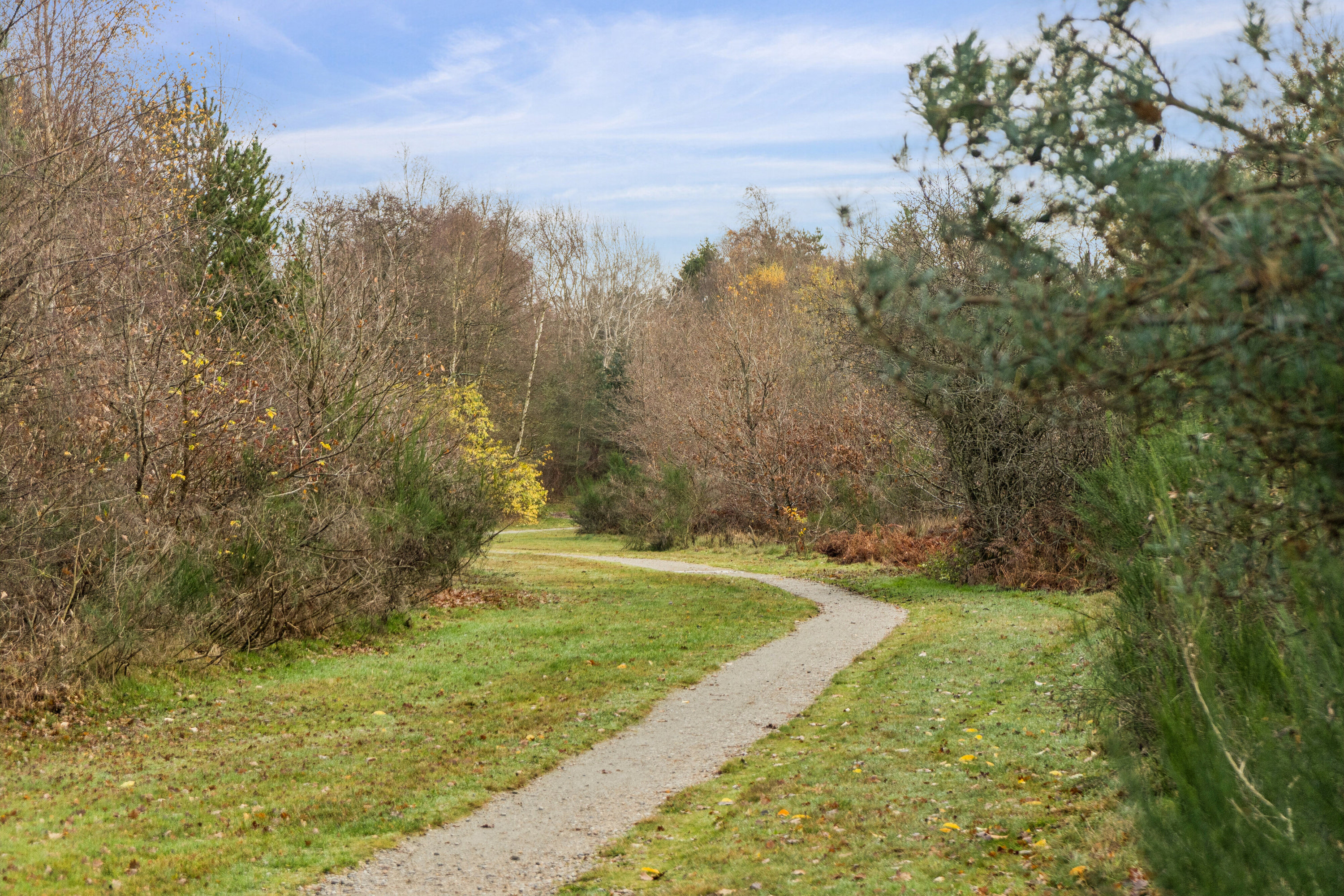Fremhævet udendørs billede i fuldskærmstilstand. Billede af Poppelvej 13, 8600 Silkeborg
