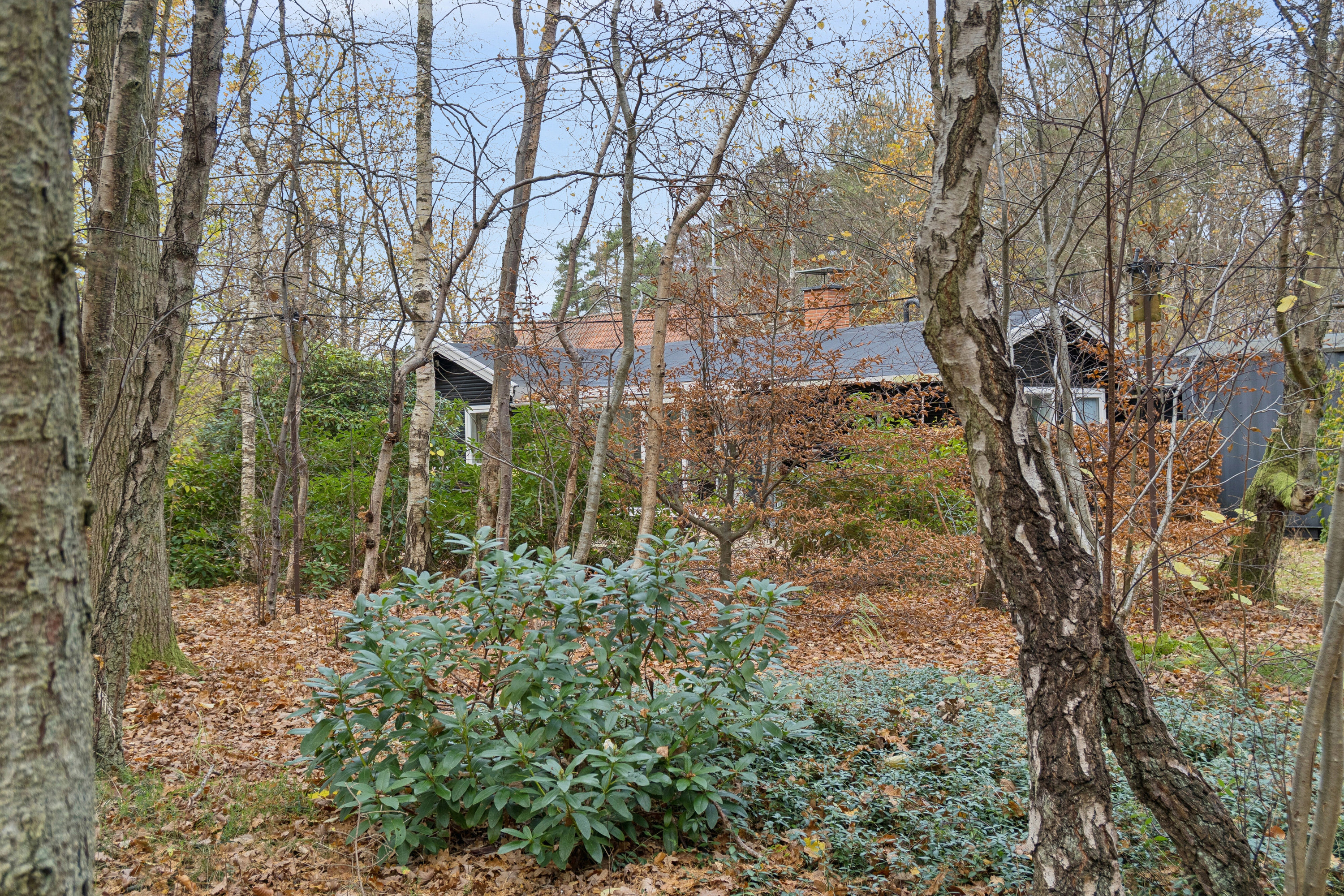 Fremhævet udendørs billede i fuldskærmstilstand. Billede af Gyvelvej 1, Asserbo, 3300 Frederiksværk