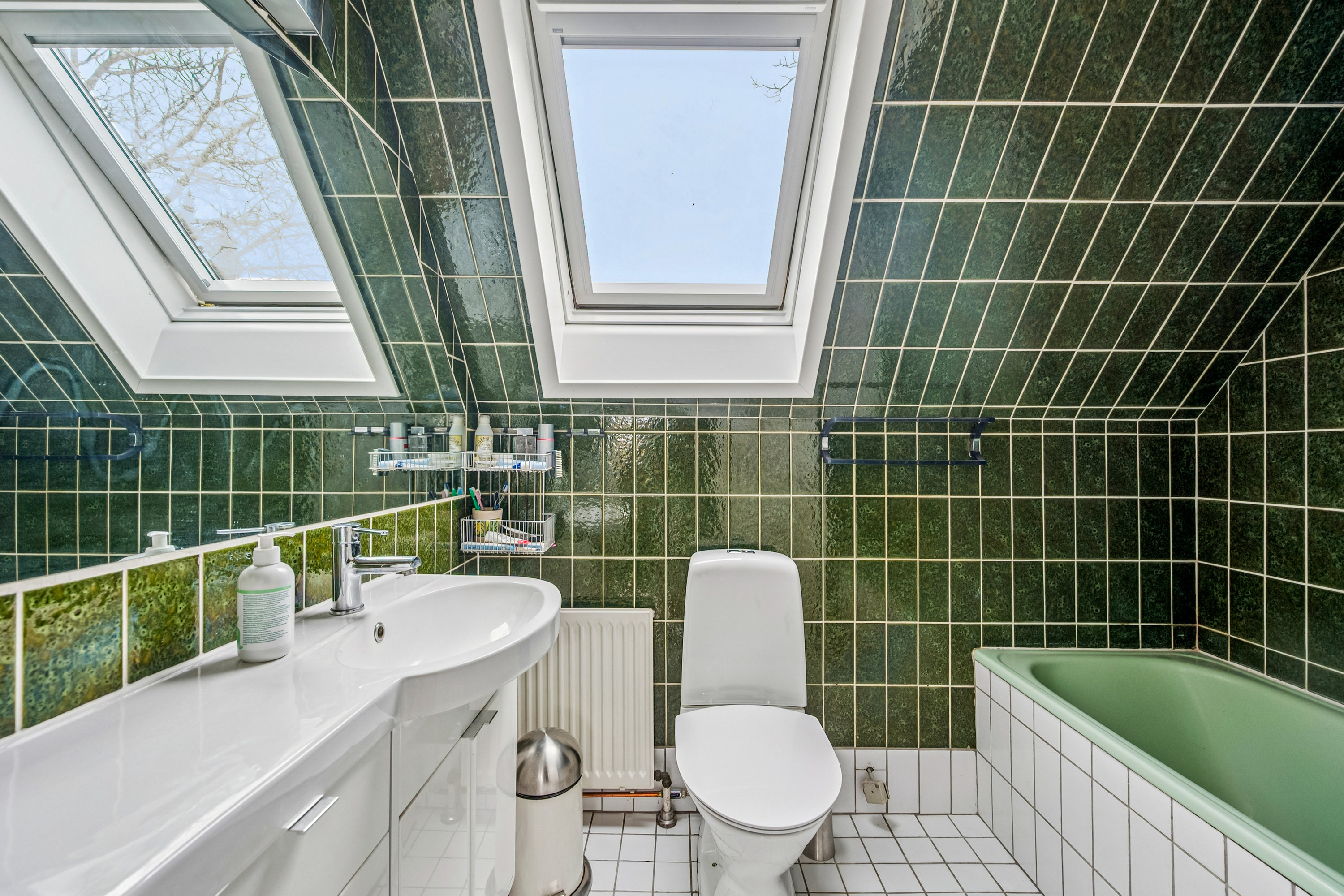 Fremhævet  billede i fuldskærmstilstand. Billede af Englodden 12, 2500 Valby