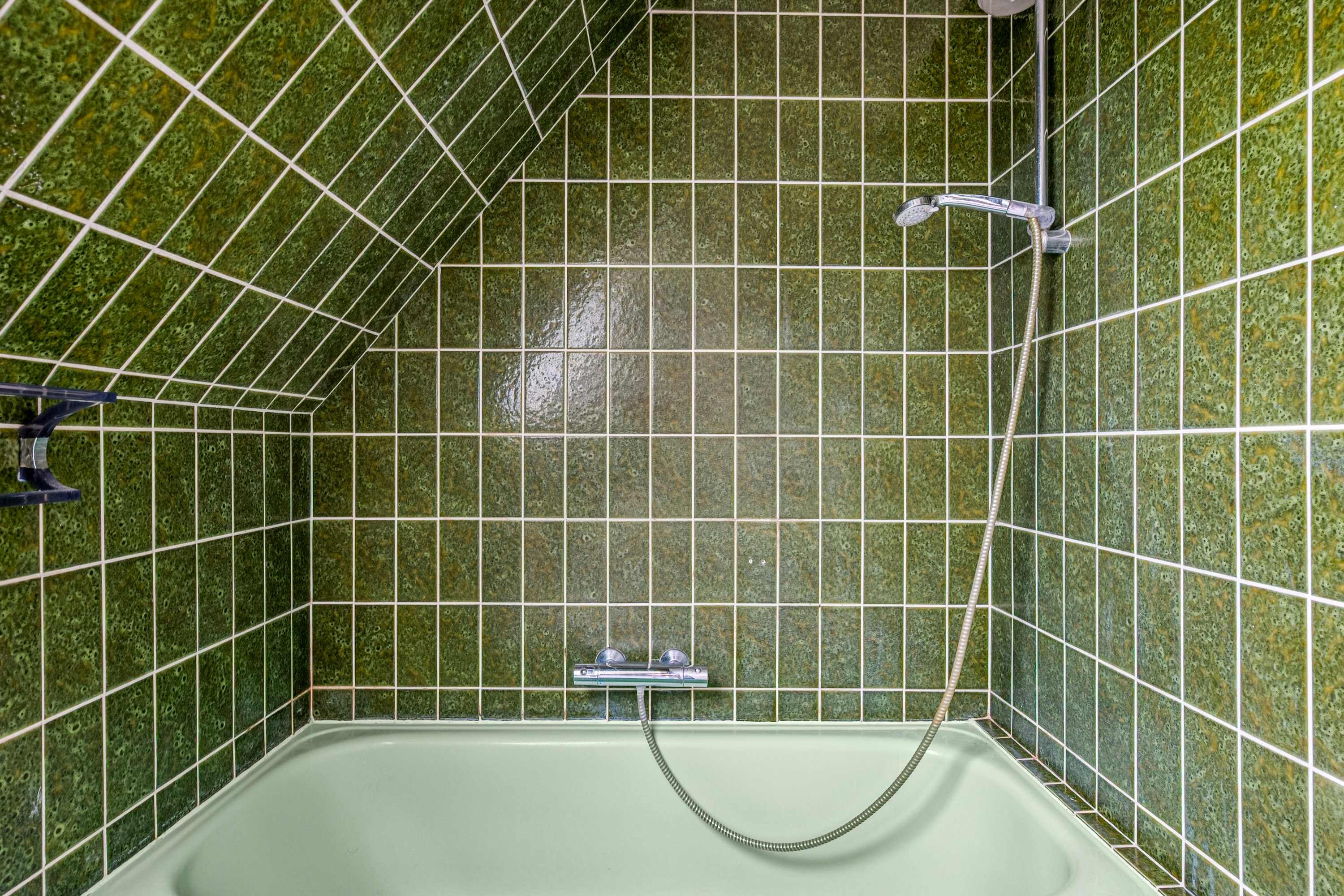 Fremhævet  billede i fuldskærmstilstand. Billede af Englodden 12, 2500 Valby