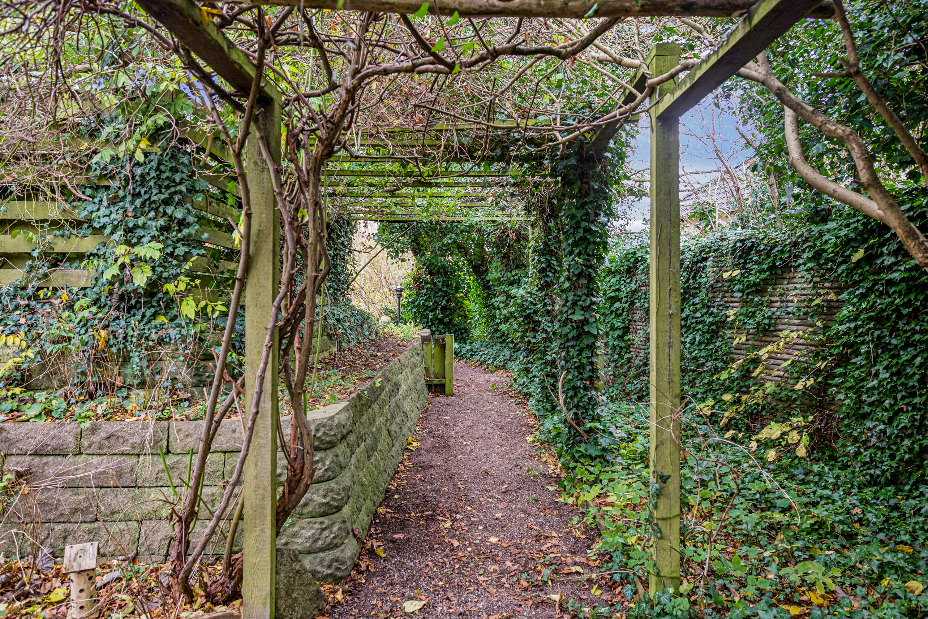 Fremhævet  billede i fuldskærmstilstand. Billede af Englodden 12, 2500 Valby