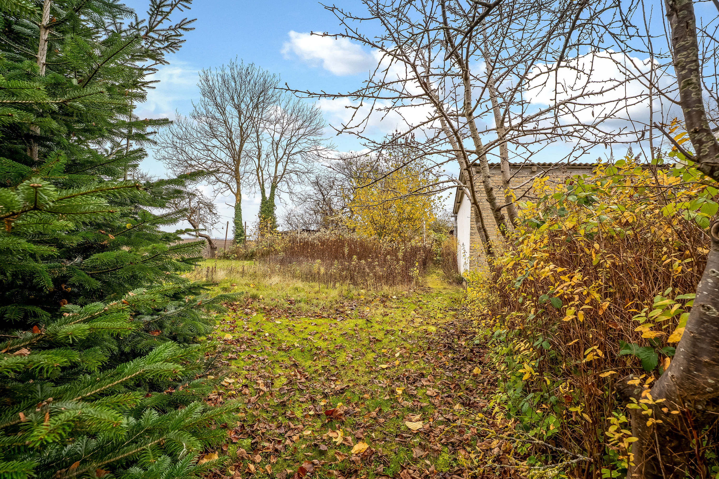 Fremhævet have billede i fuldskærmstilstand. Billede af Højrebyvej 46, 4920 Søllested