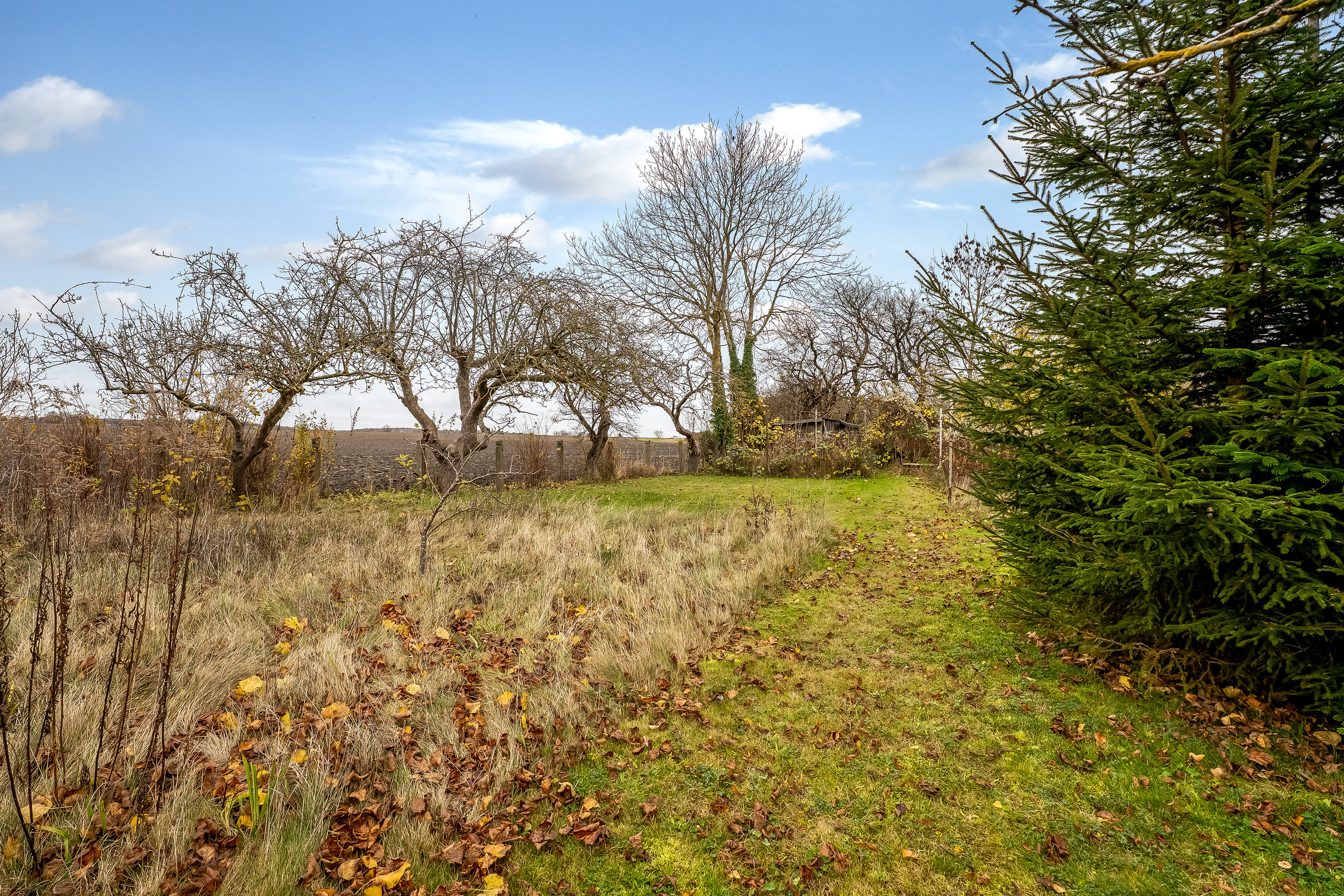 Fremhævet have billede i fuldskærmstilstand. Billede af Højrebyvej 46, 4920 Søllested