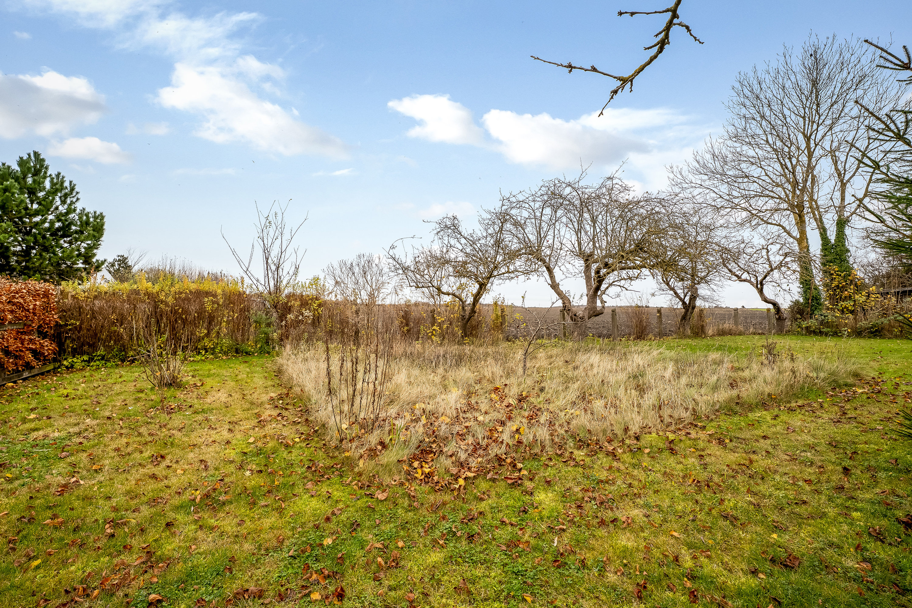Fremhævet have billede i fuldskærmstilstand. Billede af Højrebyvej 46, 4920 Søllested