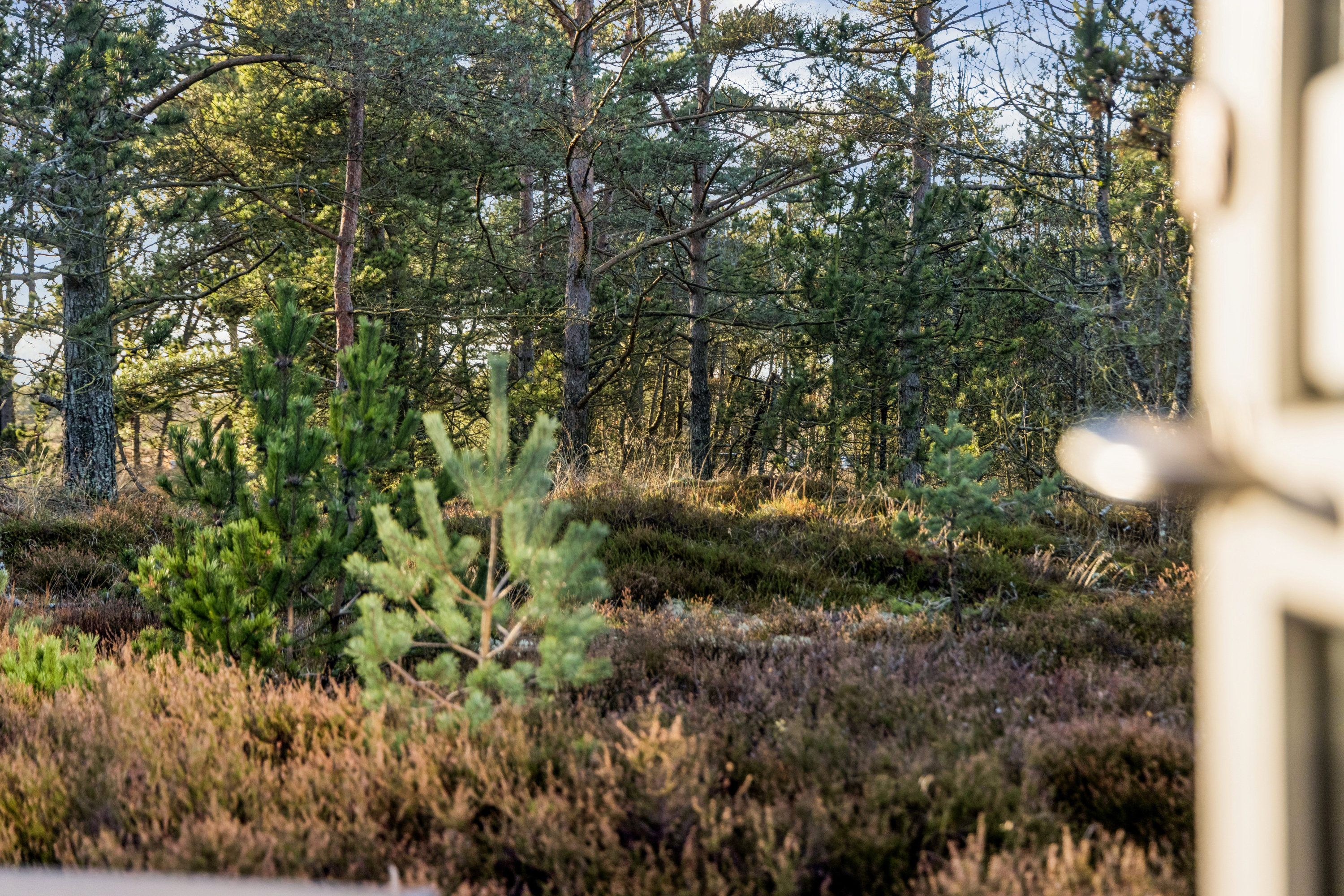 Fremhævet andet billede i fuldskærmstilstand. Billede af Gl. Kirkevej 52, 9982 Ålbæk