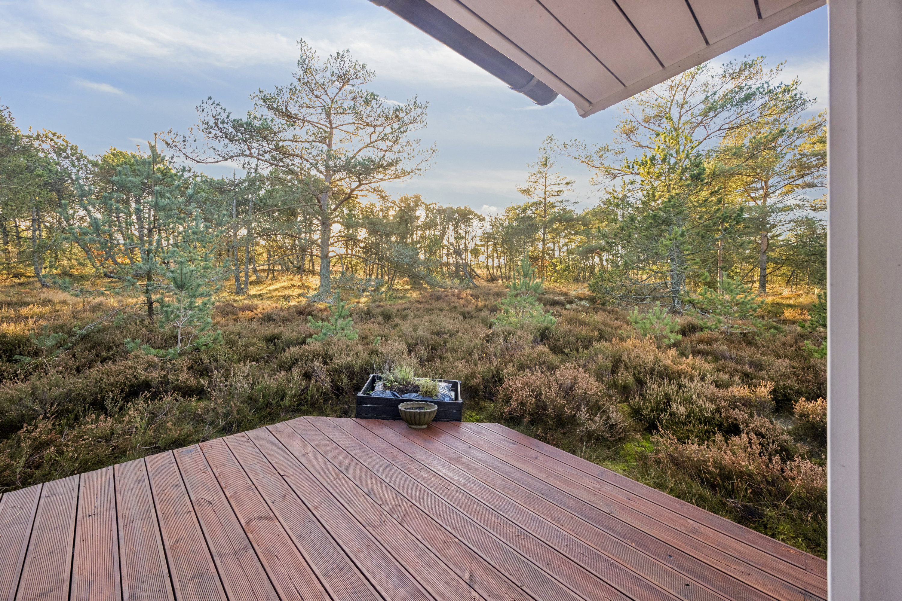 Fremhævet terrasse billede i fuldskærmstilstand. Billede af Gl. Kirkevej 52, 9982 Ålbæk