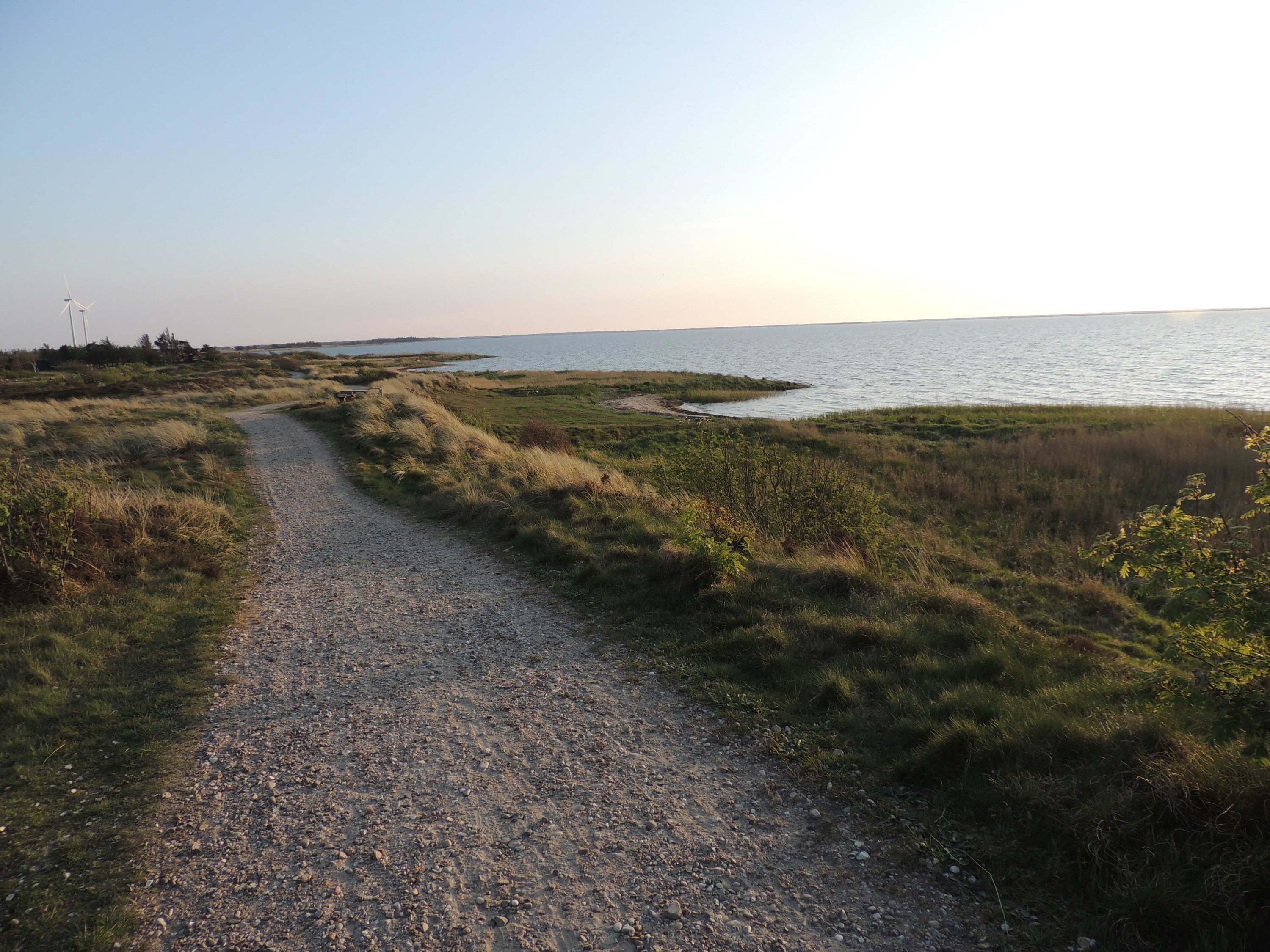 Fremhævet området billede i fuldskærmstilstand. Billede af Beta 9, 6893 Hemmet