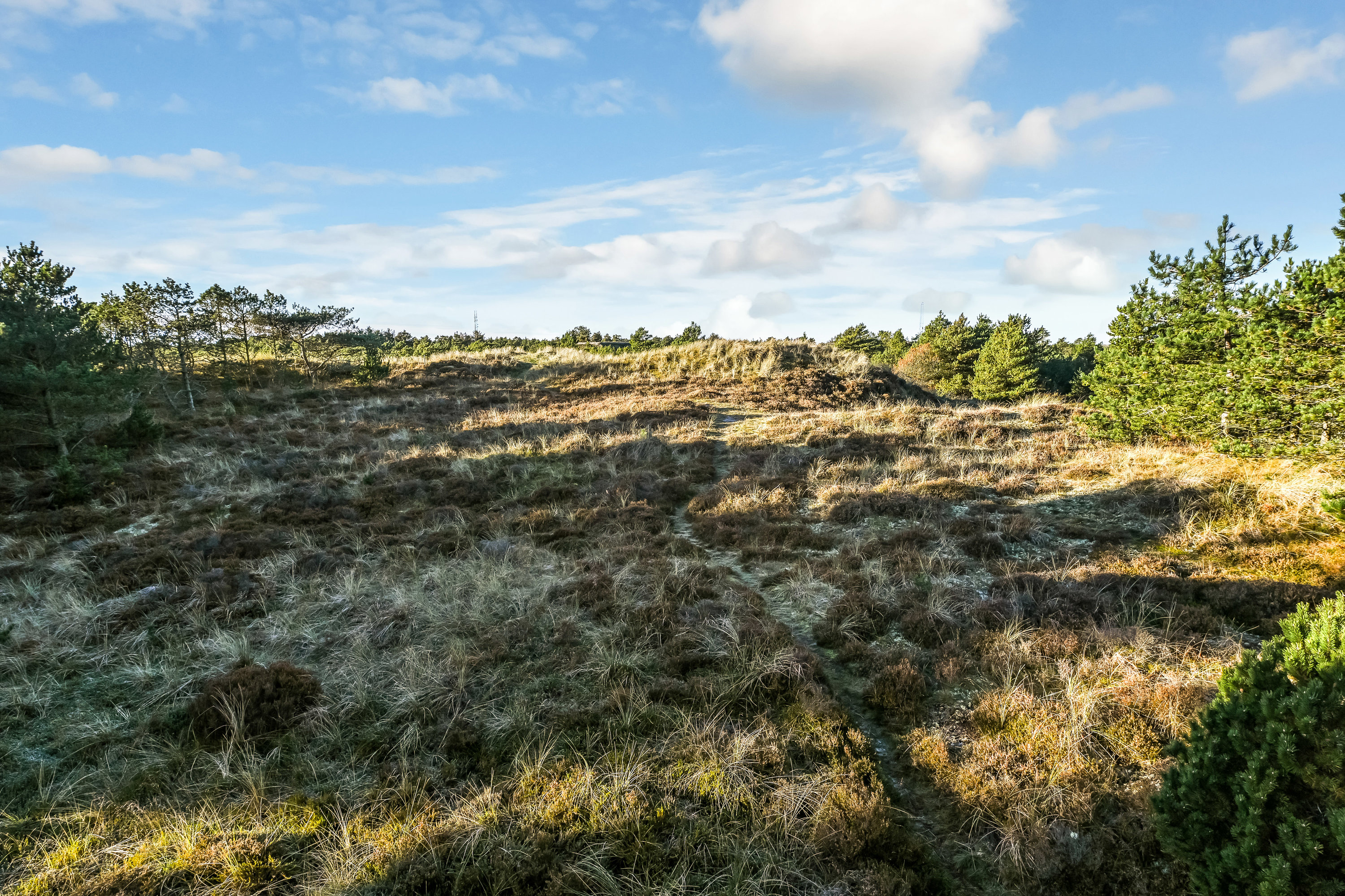 Fremhævet have billede i fuldskærmstilstand. Billede af Nordkrogen 23C, 6857 Blåvand