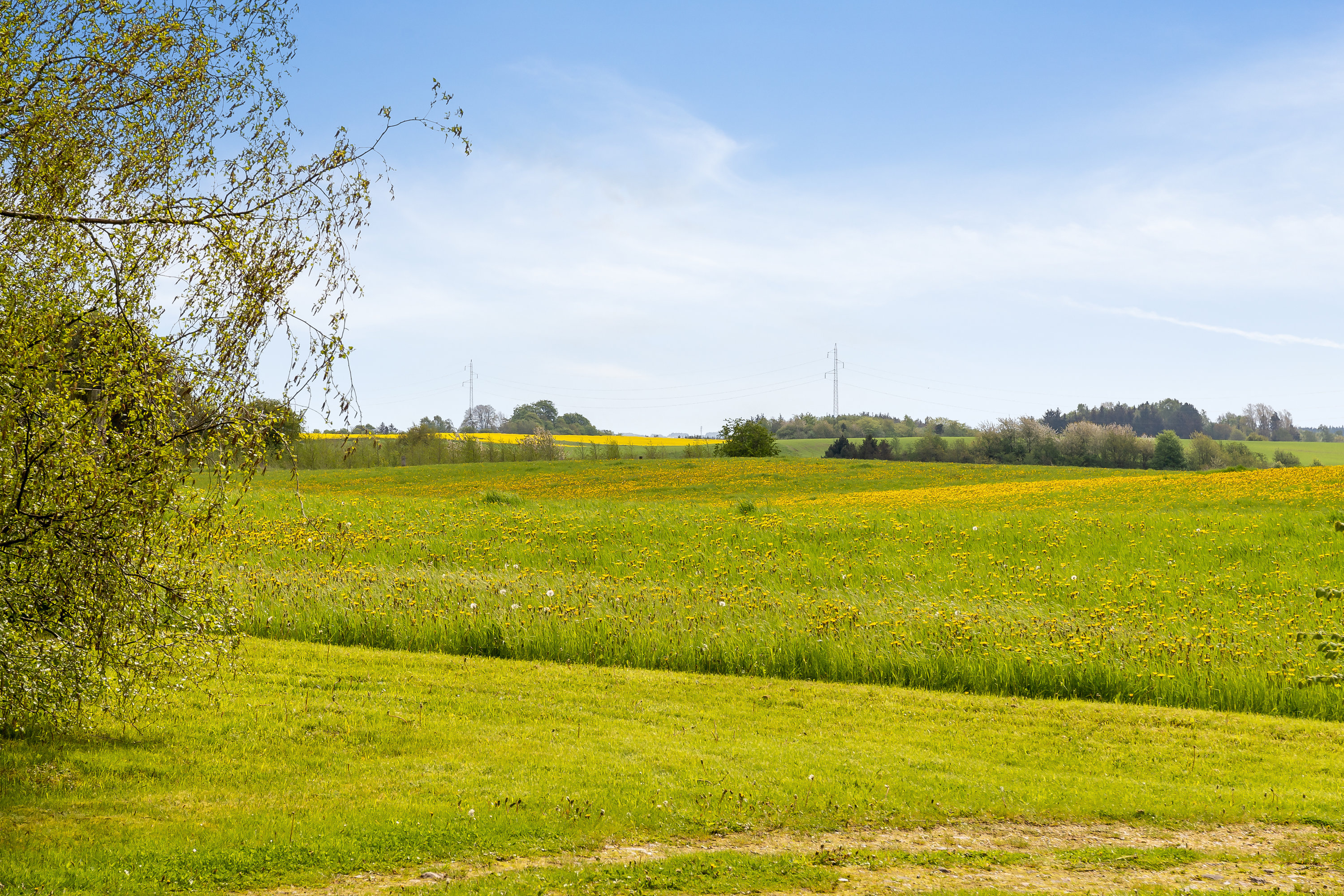 Fremhævet  billede i fuldskærmstilstand. Billede af Bovsbjergvej 4, Torup, 8860 Ulstrup