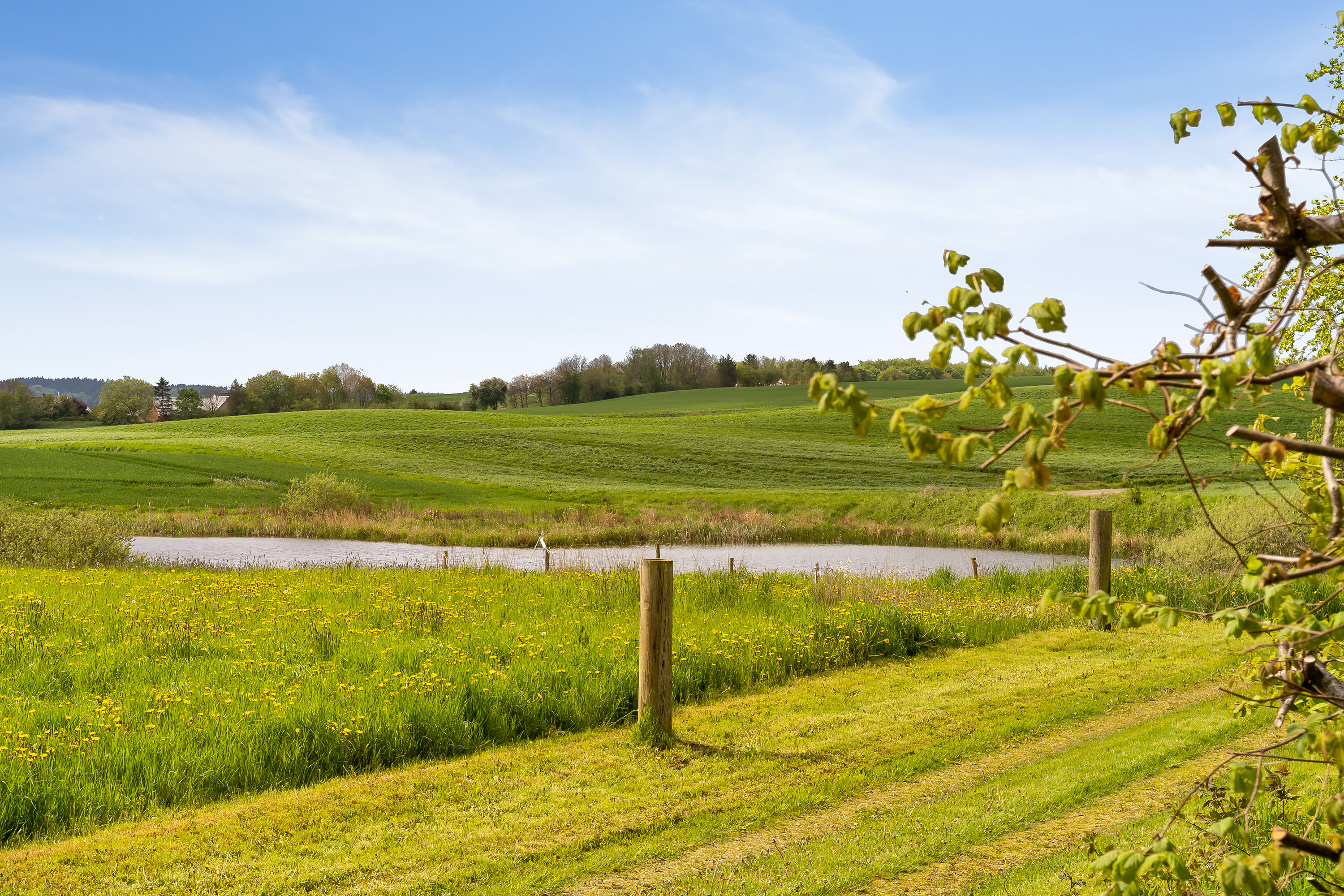 Fremhævet  billede i fuldskærmstilstand. Billede af Bovsbjergvej 4, Torup, 8860 Ulstrup