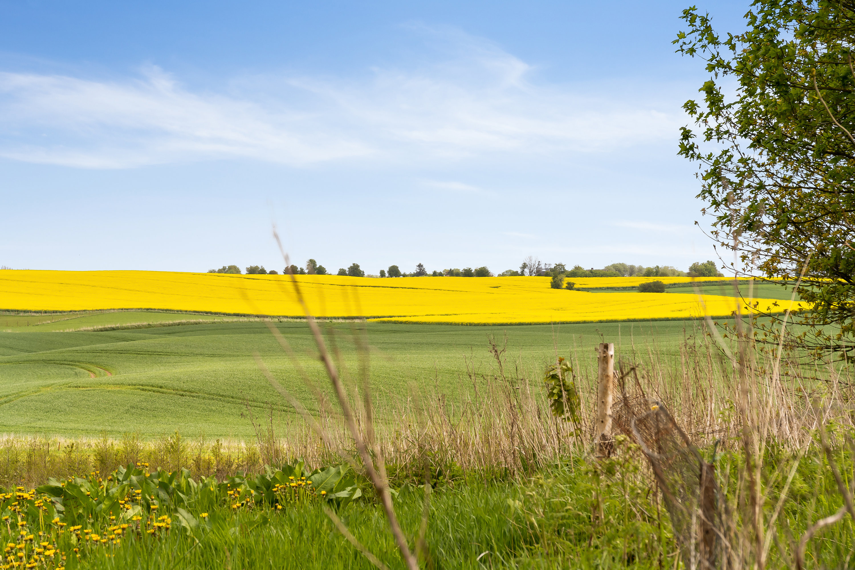 Fremhævet  billede i fuldskærmstilstand. Billede af Bovsbjergvej 4, Torup, 8860 Ulstrup