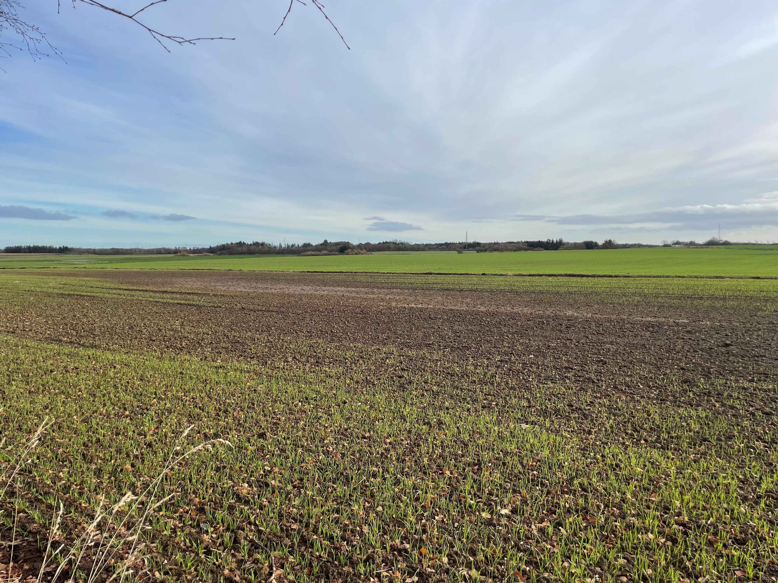 Fremhævet  billede i fuldskærmstilstand. Billede af Ålskovvej 10, Ålskov, 7830 Vinderup