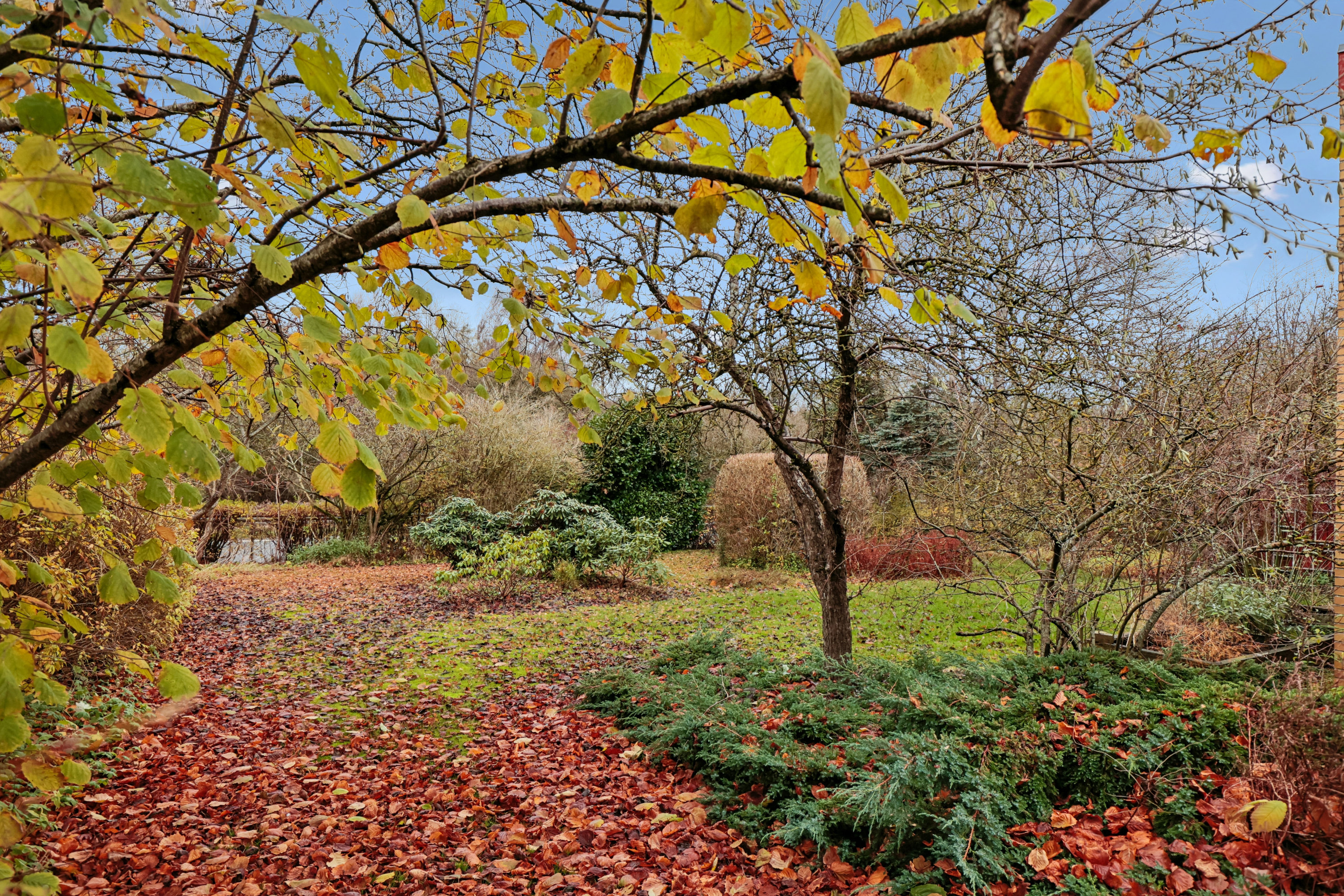 Fremhævet have billede i fuldskærmstilstand. Billede af Helsevej 7, 4520 Svinninge