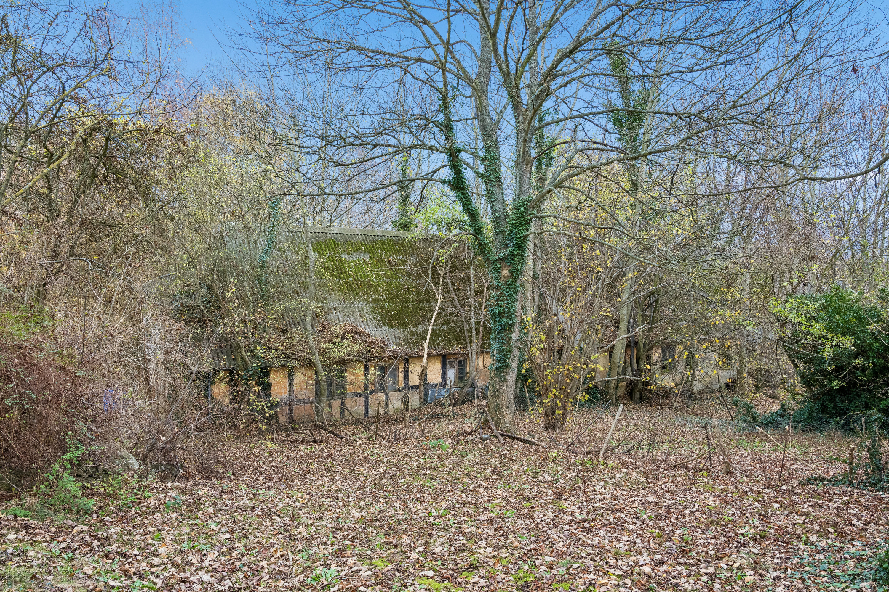 Fremhævet have billede i fuldskærmstilstand. Billede af Elsegårdevej 38, 8400 Ebeltoft