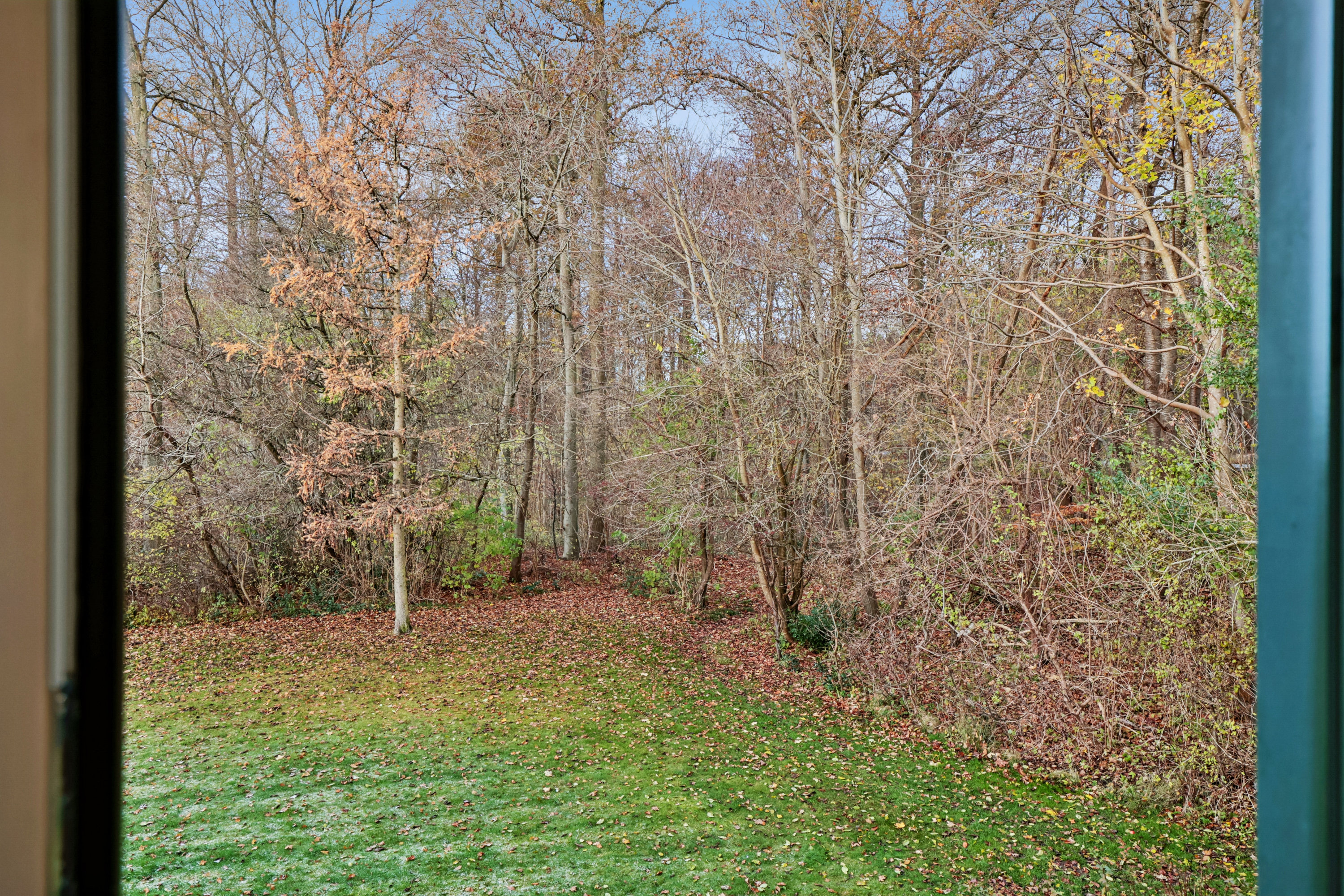 Fremhævet have billede i fuldskærmstilstand. Billede af Skovengen 30, 4450 Jyderup