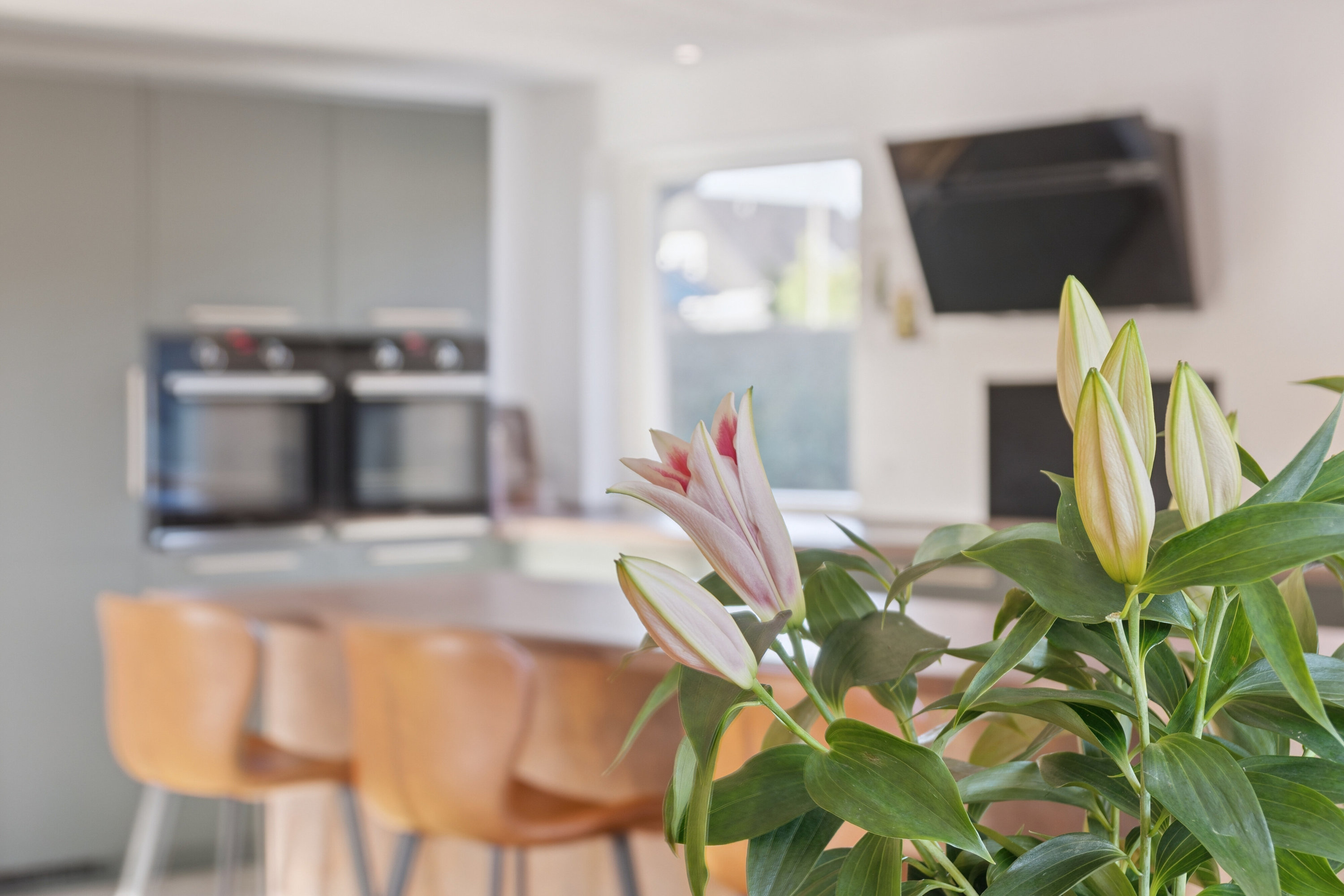 Fremhævet køkken/alrum billede i fuldskærmstilstand. Billede af Lærkevej 9, 4250 Fuglebjerg