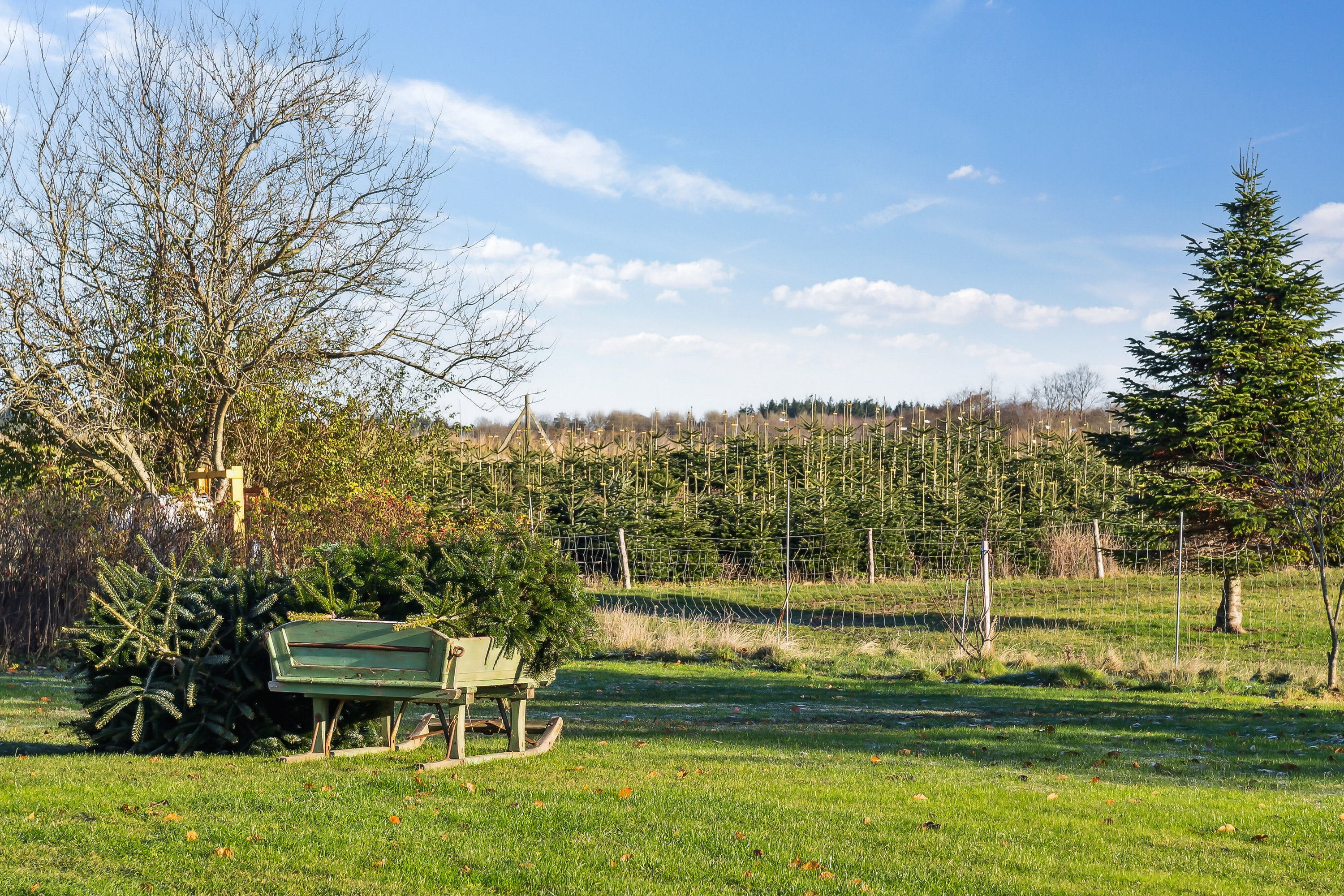 Fremhævet have billede i fuldskærmstilstand. Billede af Skovmarksvej 2, 5762 Vester Skerninge