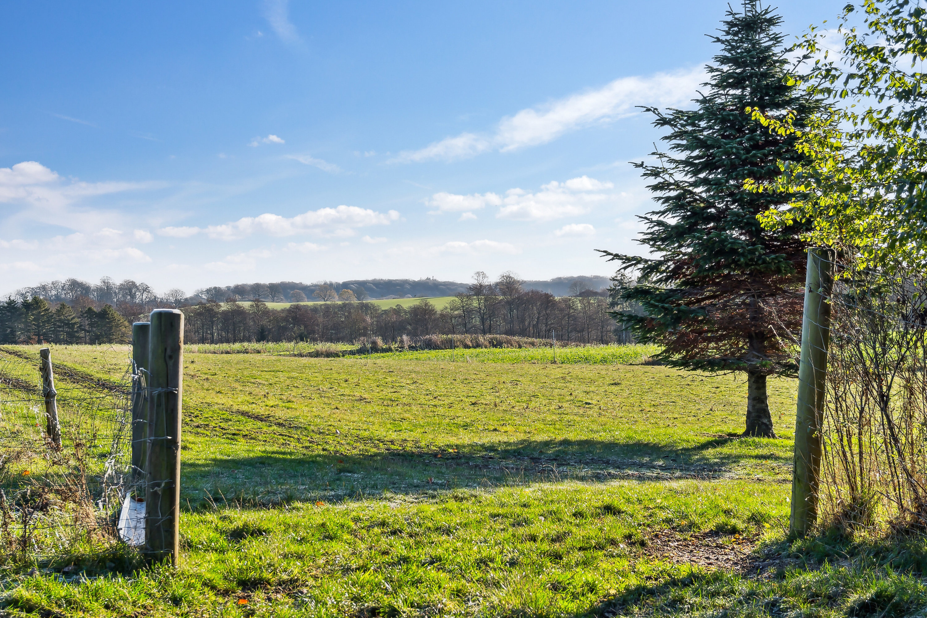 Fremhævet have billede i fuldskærmstilstand. Billede af Skovmarksvej 2, 5762 Vester Skerninge