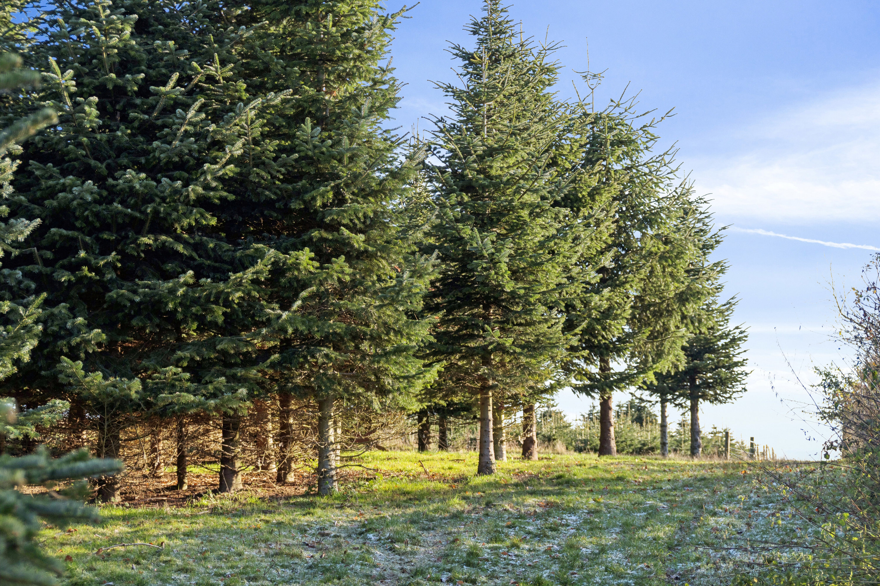 Fremhævet omgivelser billede i fuldskærmstilstand. Billede af Skovmarksvej 2, 5762 Vester Skerninge