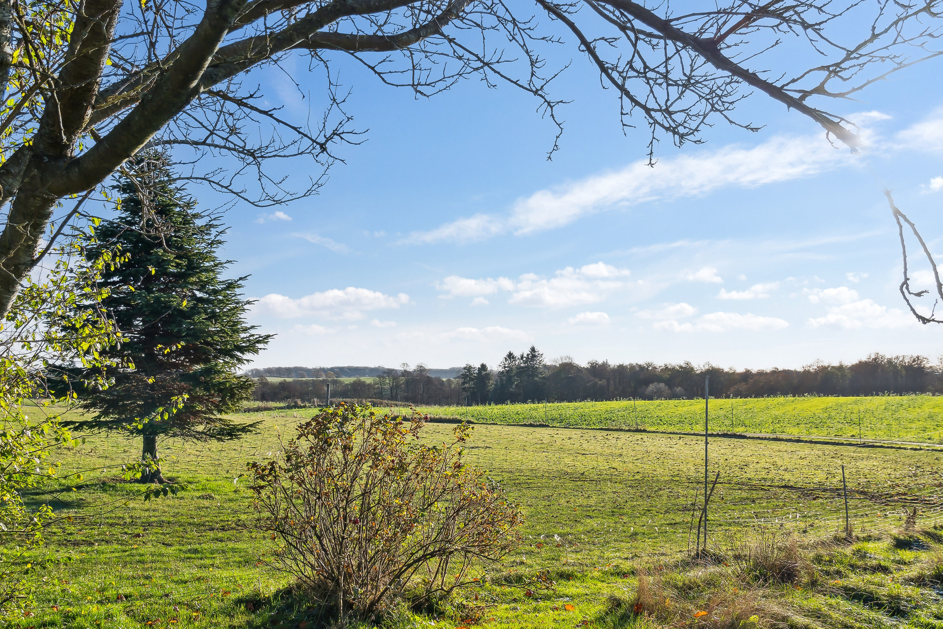 Fremhævet have billede i fuldskærmstilstand. Billede af Skovmarksvej 2, 5762 Vester Skerninge