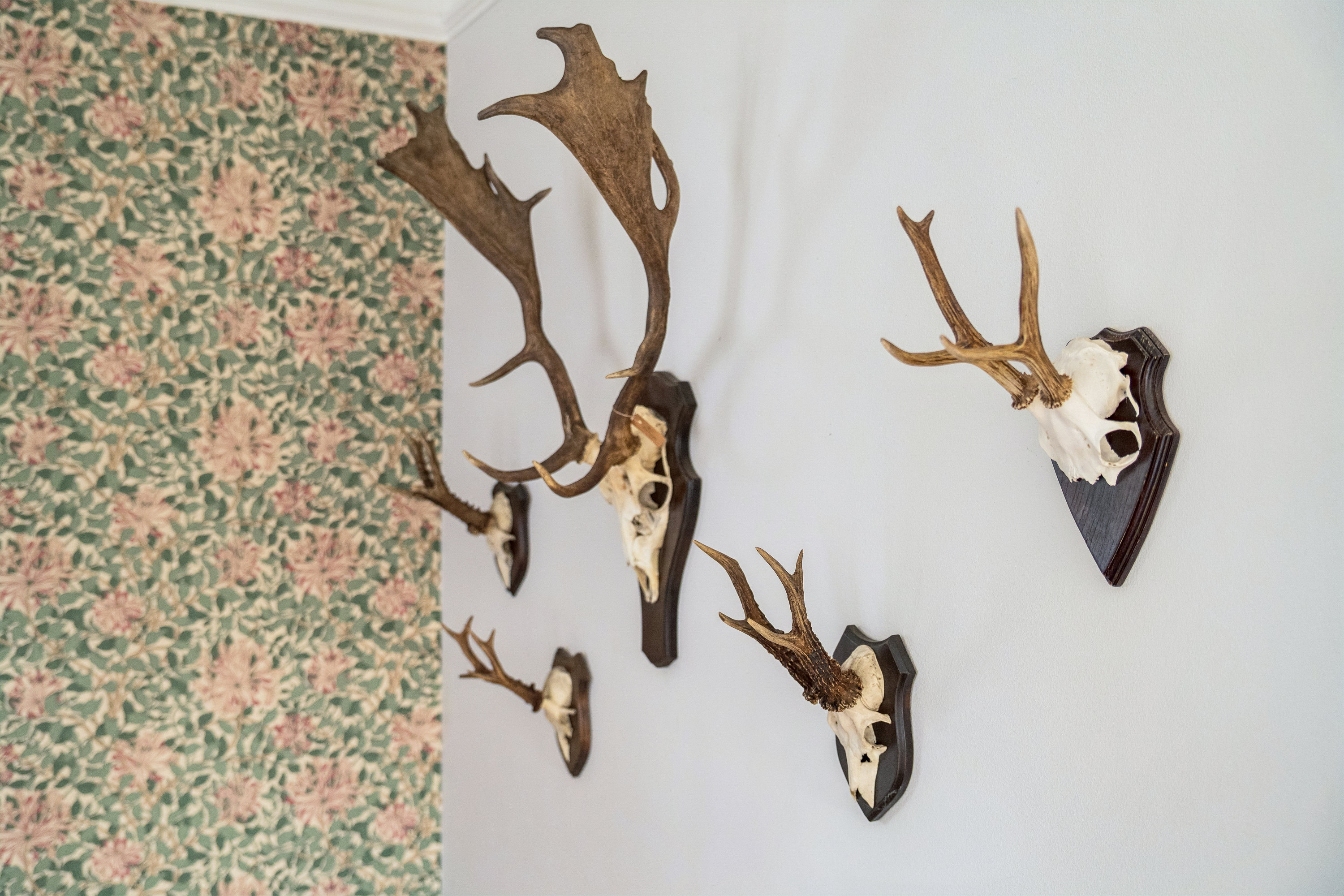 Fremhævet andet billede i fuldskærmstilstand. Billede af Østerled 3, Østerby, 9990 Skagen