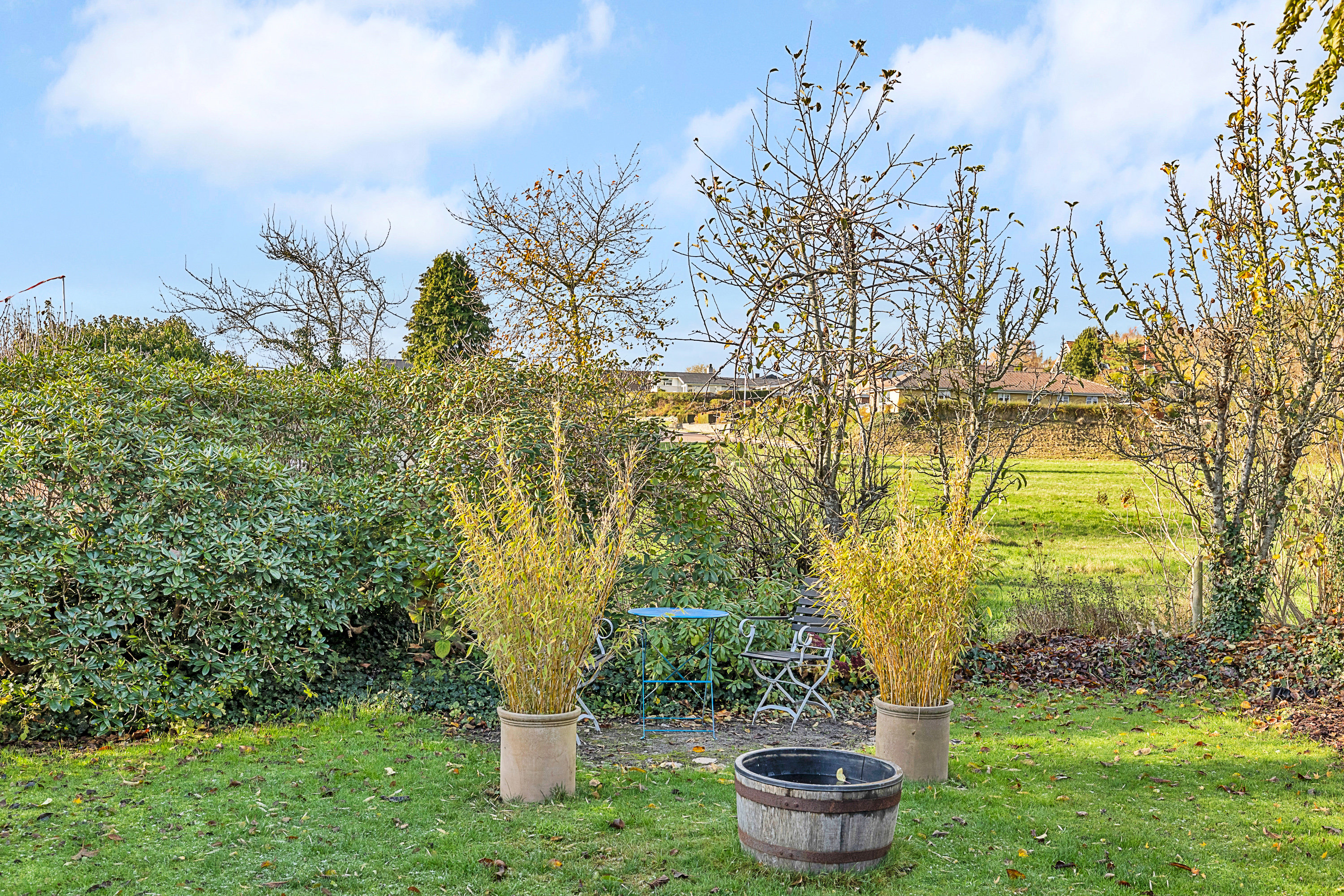 Fremhævet have billede i fuldskærmstilstand. Billede af Assensvej 93C, 5600 Faaborg