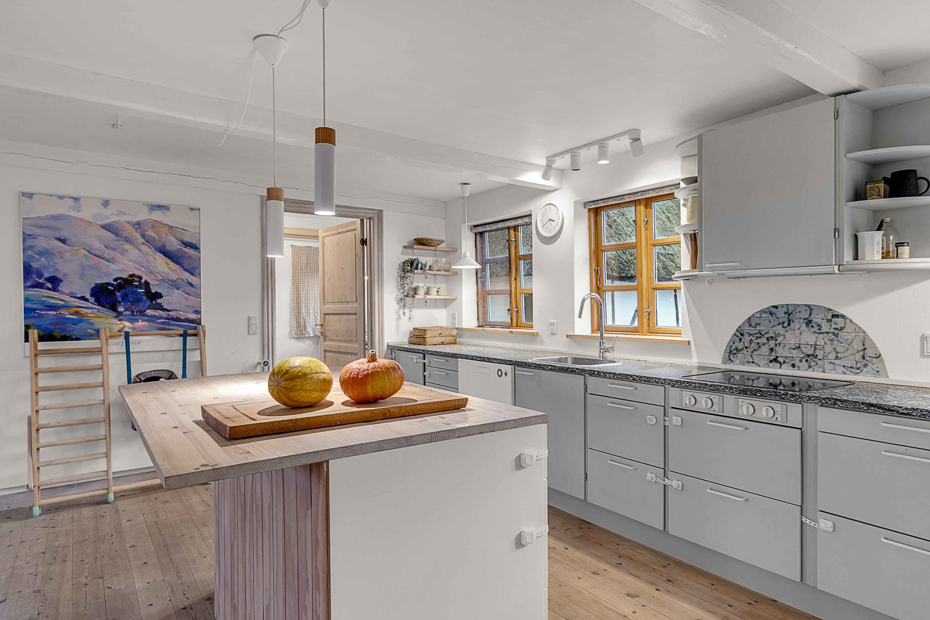 Fremhævet køkken billede i fuldskærmstilstand. Billede af Dyreborgskovvej 2, Dyreborg, 5600 Faaborg