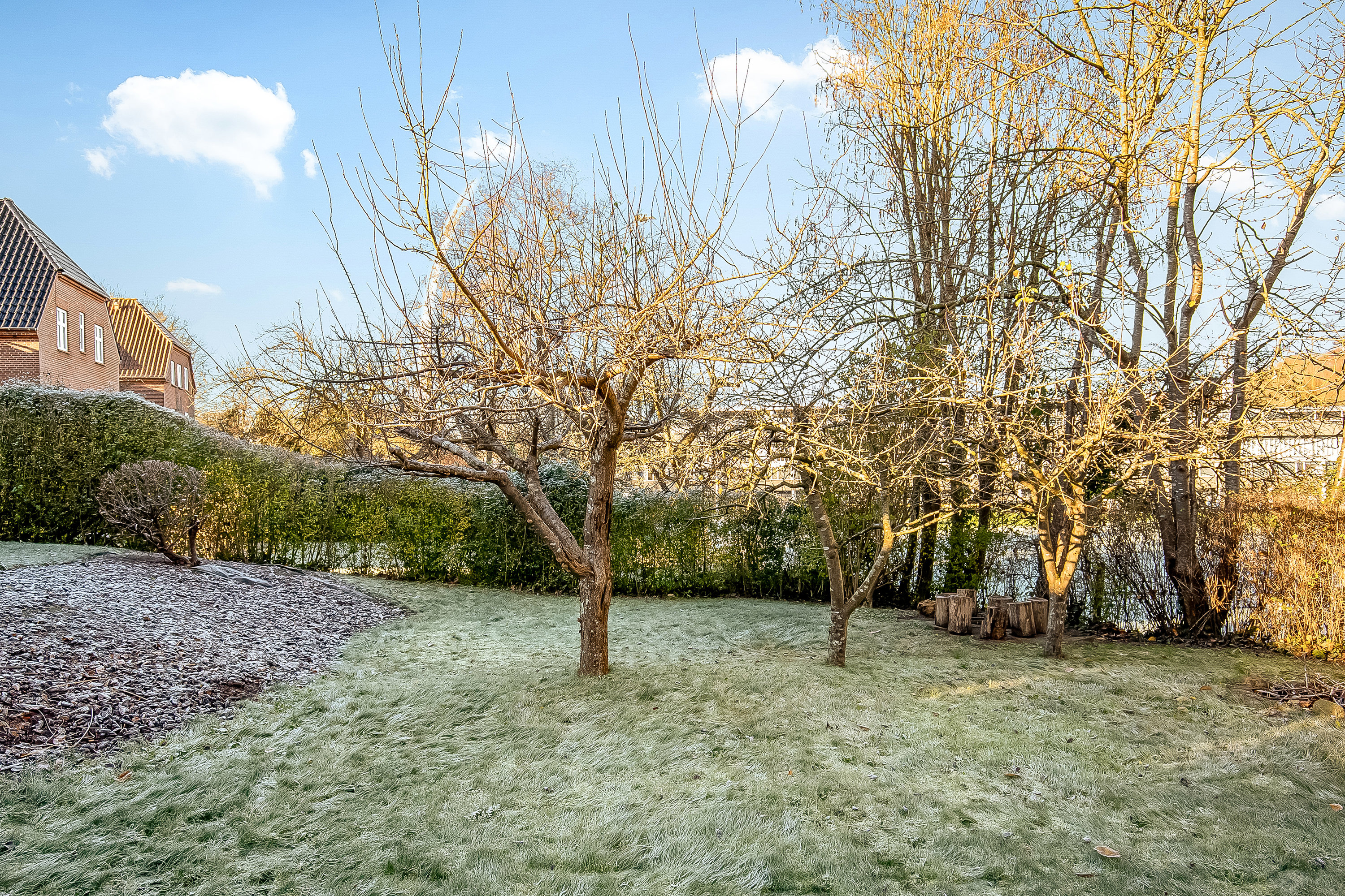 Fremhævet have billede i fuldskærmstilstand. Billede af Marcus Alle 22, 1., 6000 Kolding