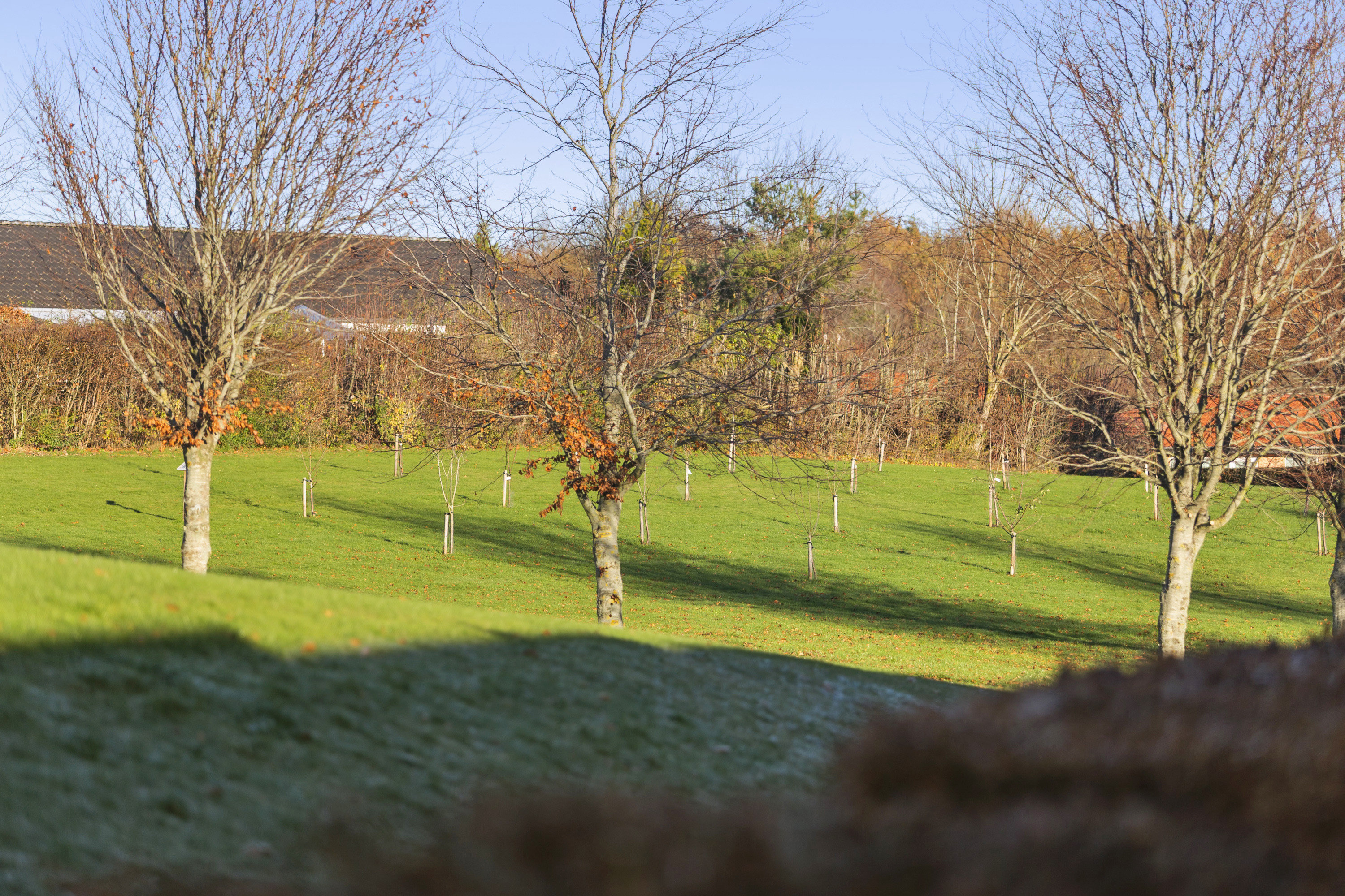Fremhævet område billede i fuldskærmstilstand. Billede af Jegstrupvej 154, 8361 Hasselager