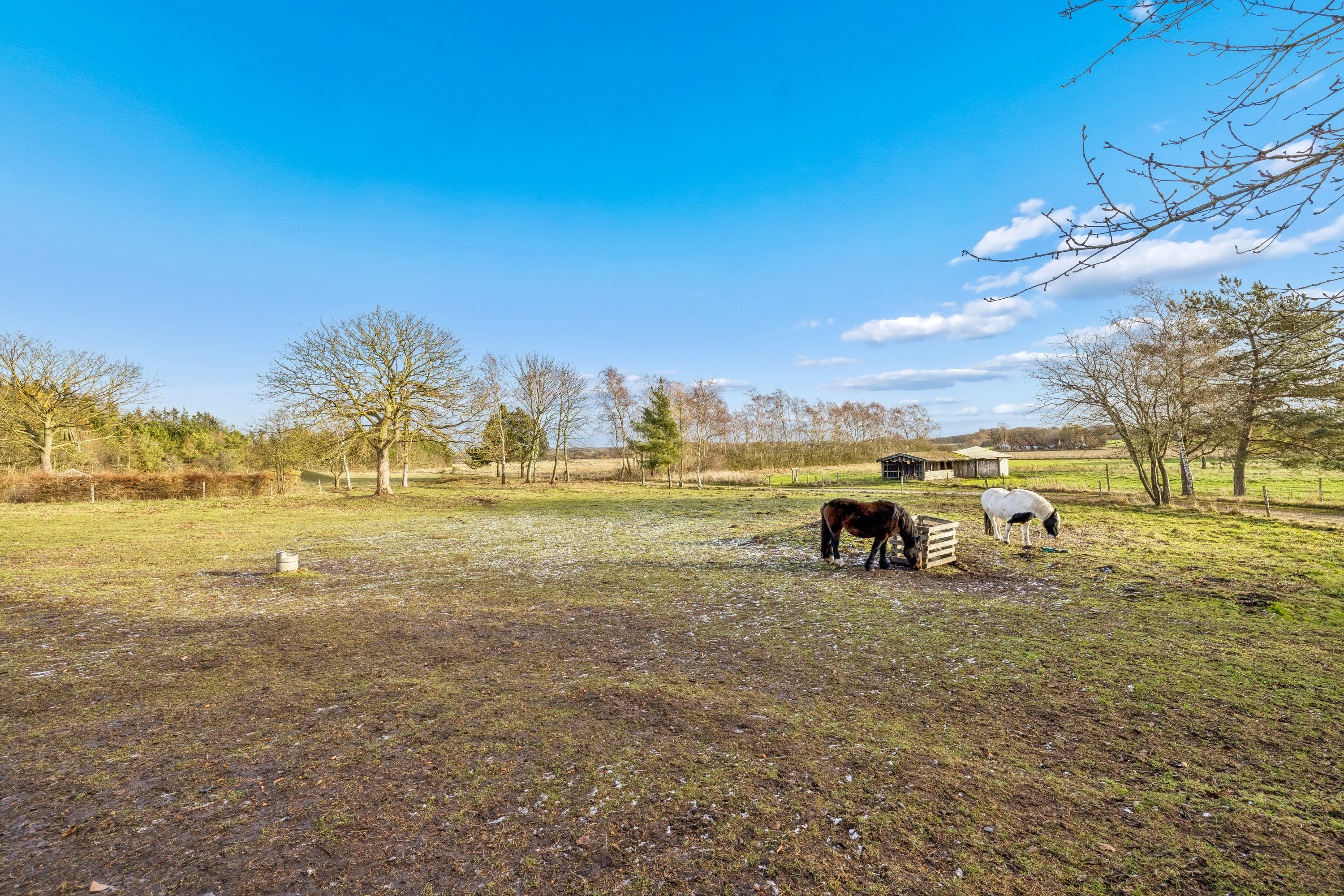 Fremhævet andet billede i fuldskærmstilstand. Billede af Dystrup Kær 2, 8586 Ørum Djurs