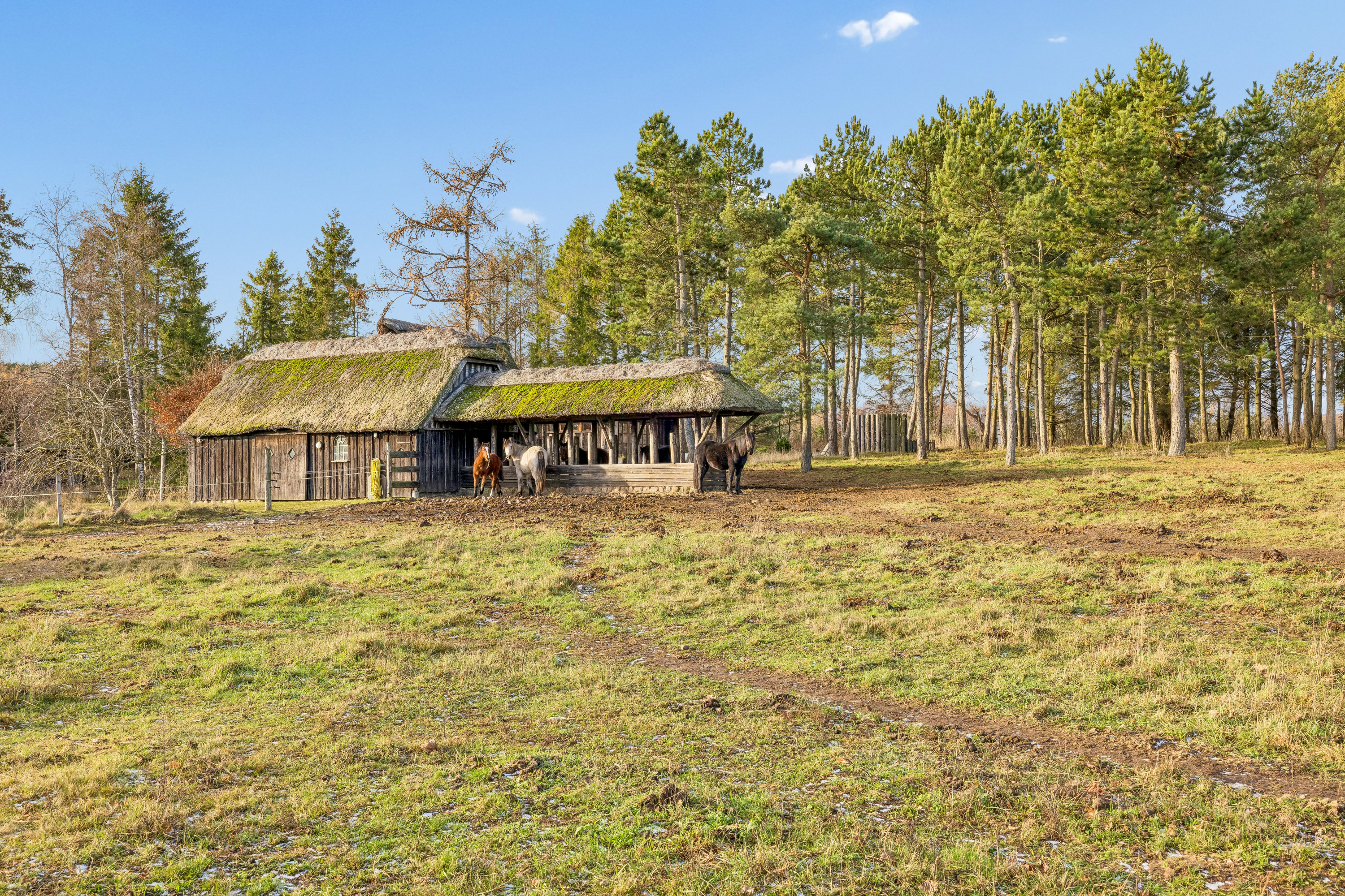 Fremhævet andet billede i fuldskærmstilstand. Billede af Dystrup Kær 2, 8586 Ørum Djurs