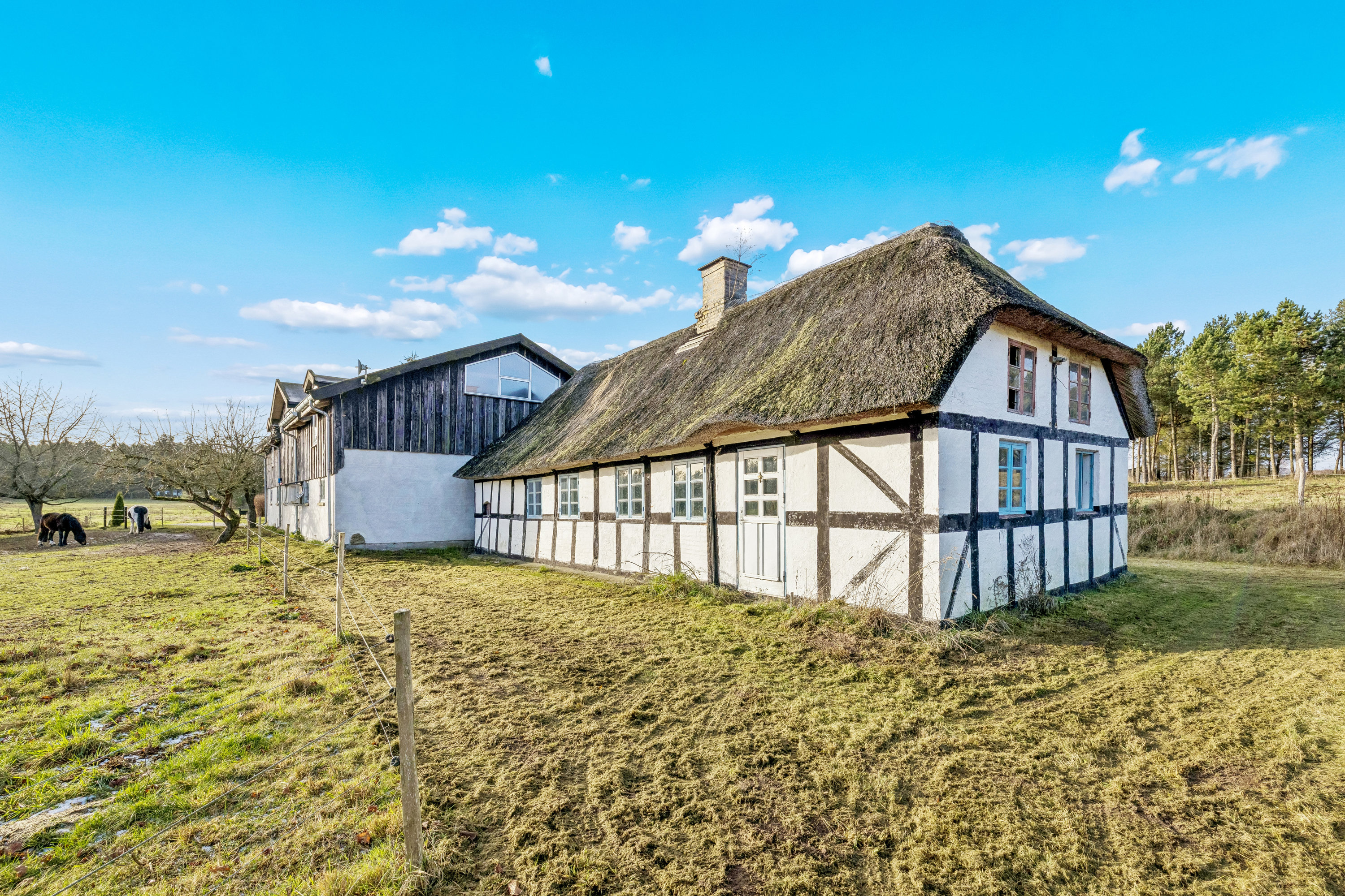 Fremhævet andet billede i fuldskærmstilstand. Billede af Dystrup Kær 2, 8586 Ørum Djurs