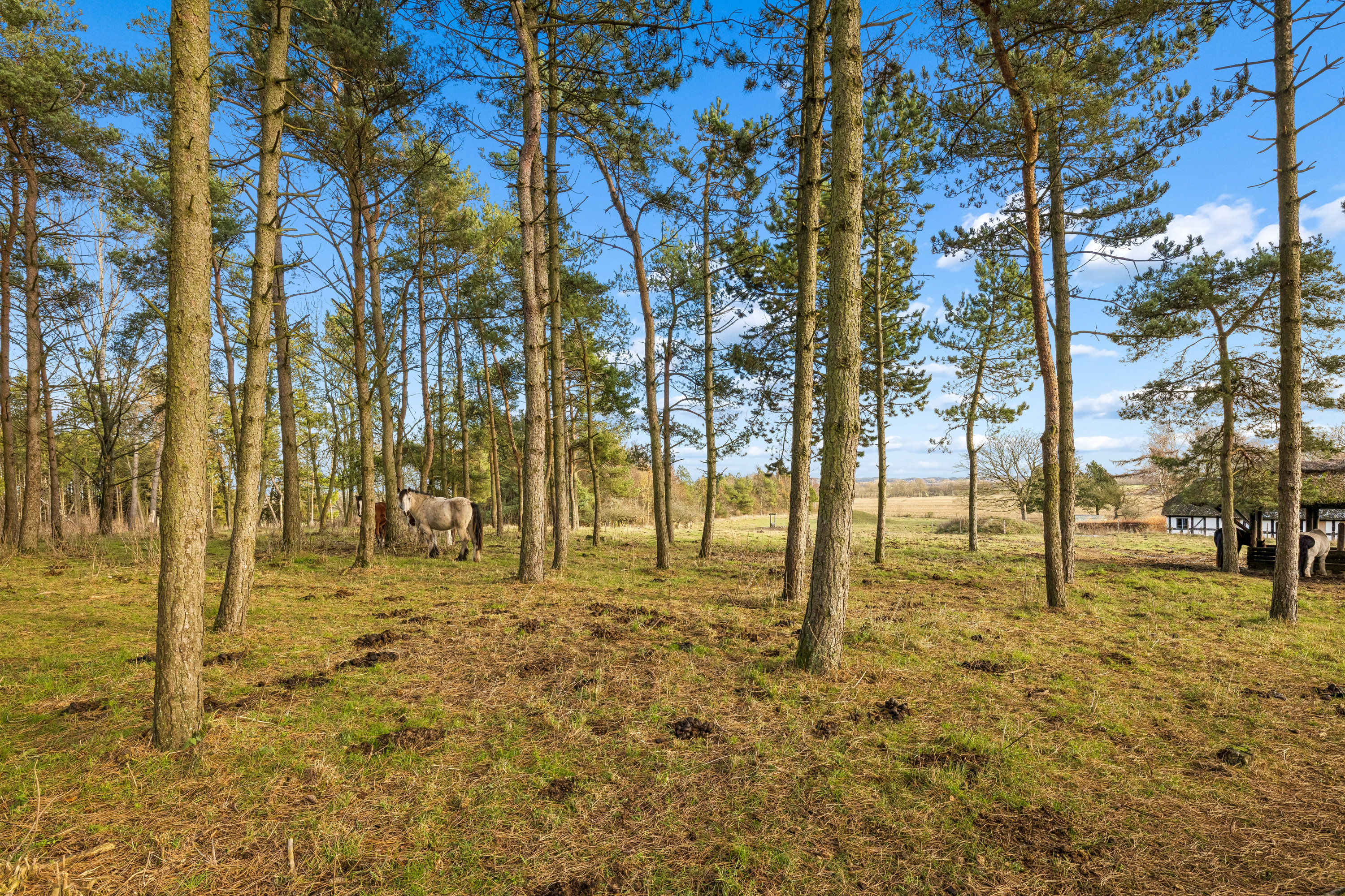 Miniaturebillede 2: omgivelser. Billede af Dystrup Kær 2, 8586 Ørum Djurs