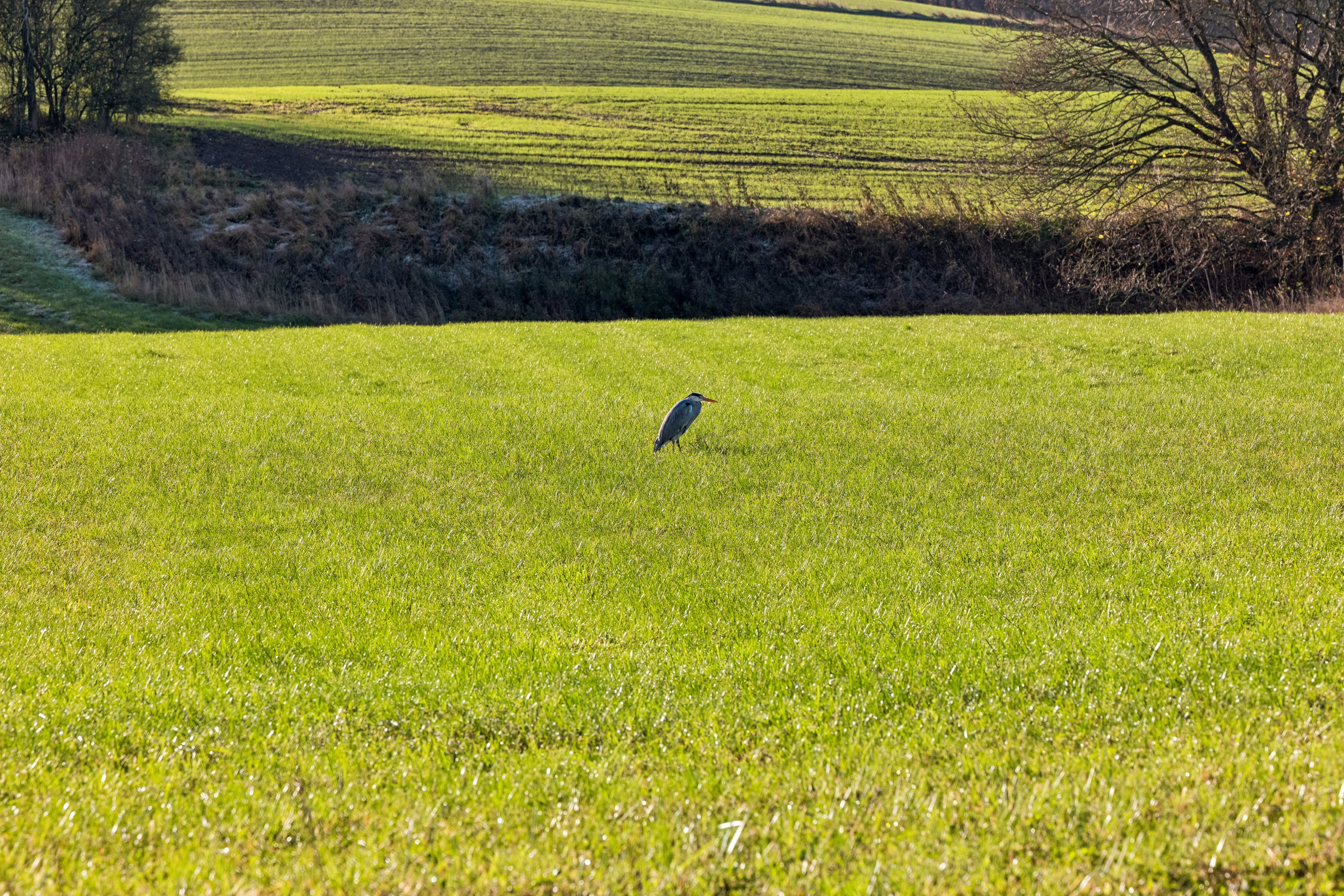 Fremhævet disponibelt rum billede i fuldskærmstilstand. Billede af Tronkærvej 129, 8541 Skødstrup