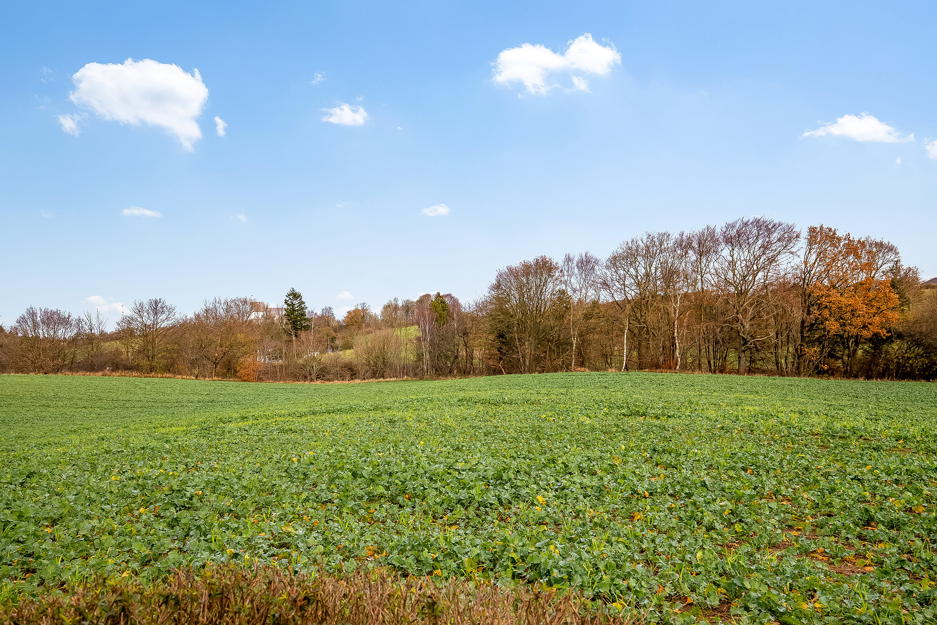 Fremhævet udsigt billede i fuldskærmstilstand. Billede af Præstekæret 9, Påby, 6000 Kolding