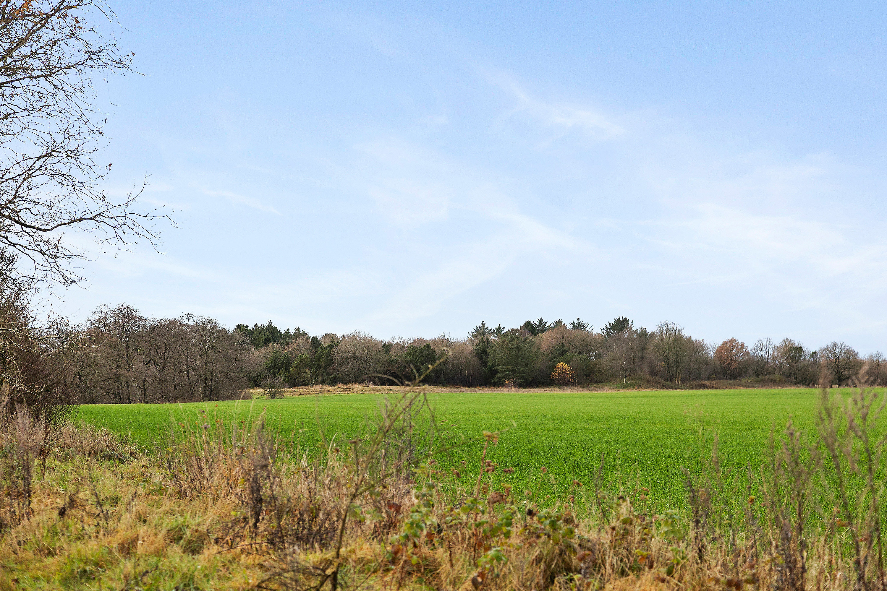 Fremhævet område billede i fuldskærmstilstand. Billede af Østerbygårdvej 4, Ø Hovborg, 6682 Hovborg