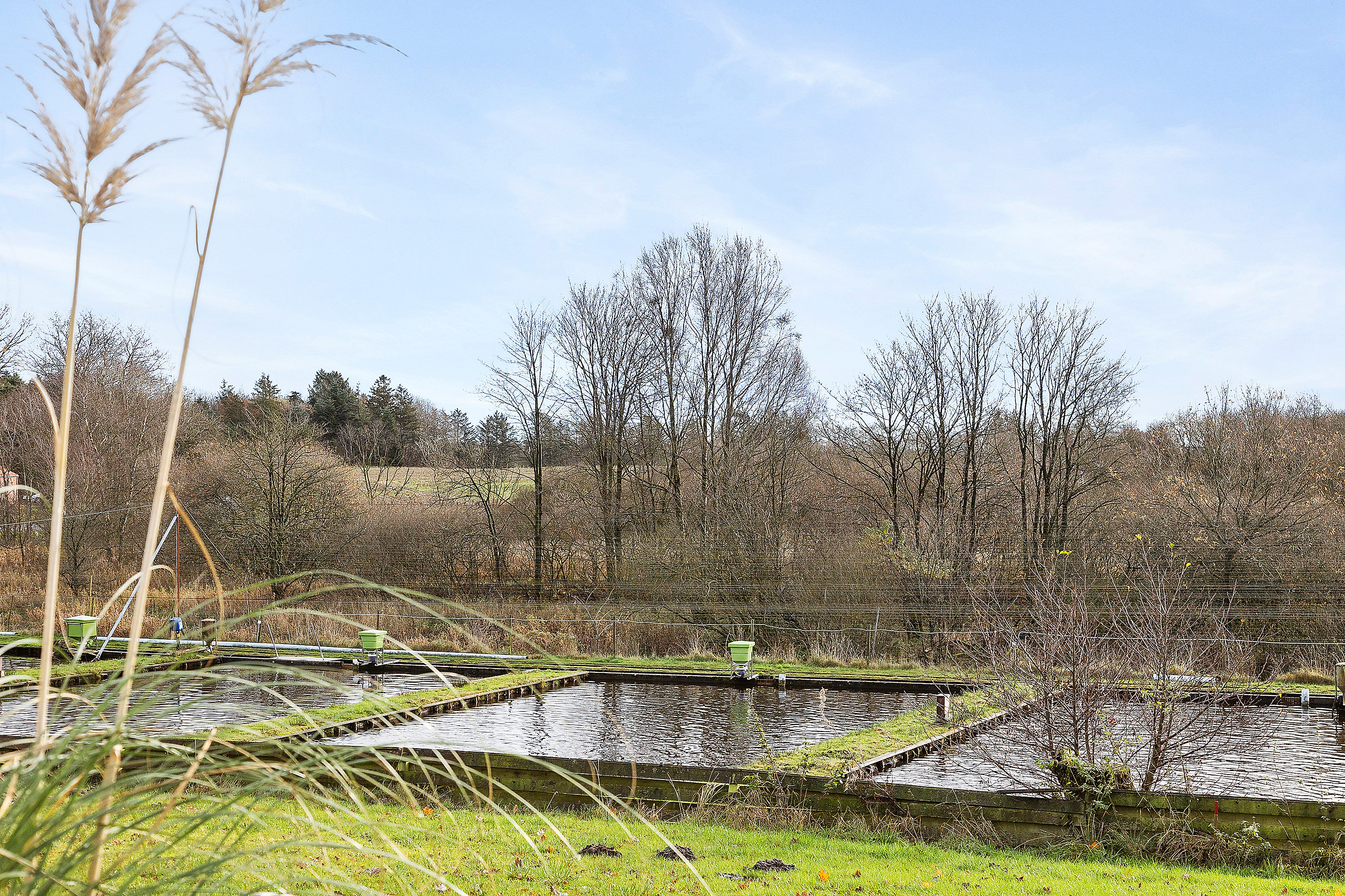 Fremhævet område billede i fuldskærmstilstand. Billede af Østerbygårdvej 4, Ø Hovborg, 6682 Hovborg