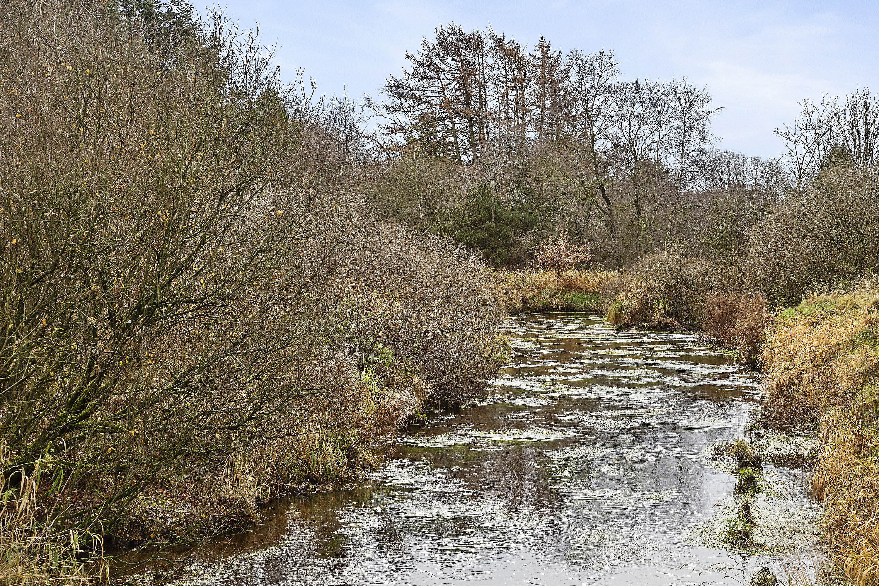 Miniaturebillede 1: område. Billede af Østerbygårdvej 4, Ø Hovborg, 6682 Hovborg