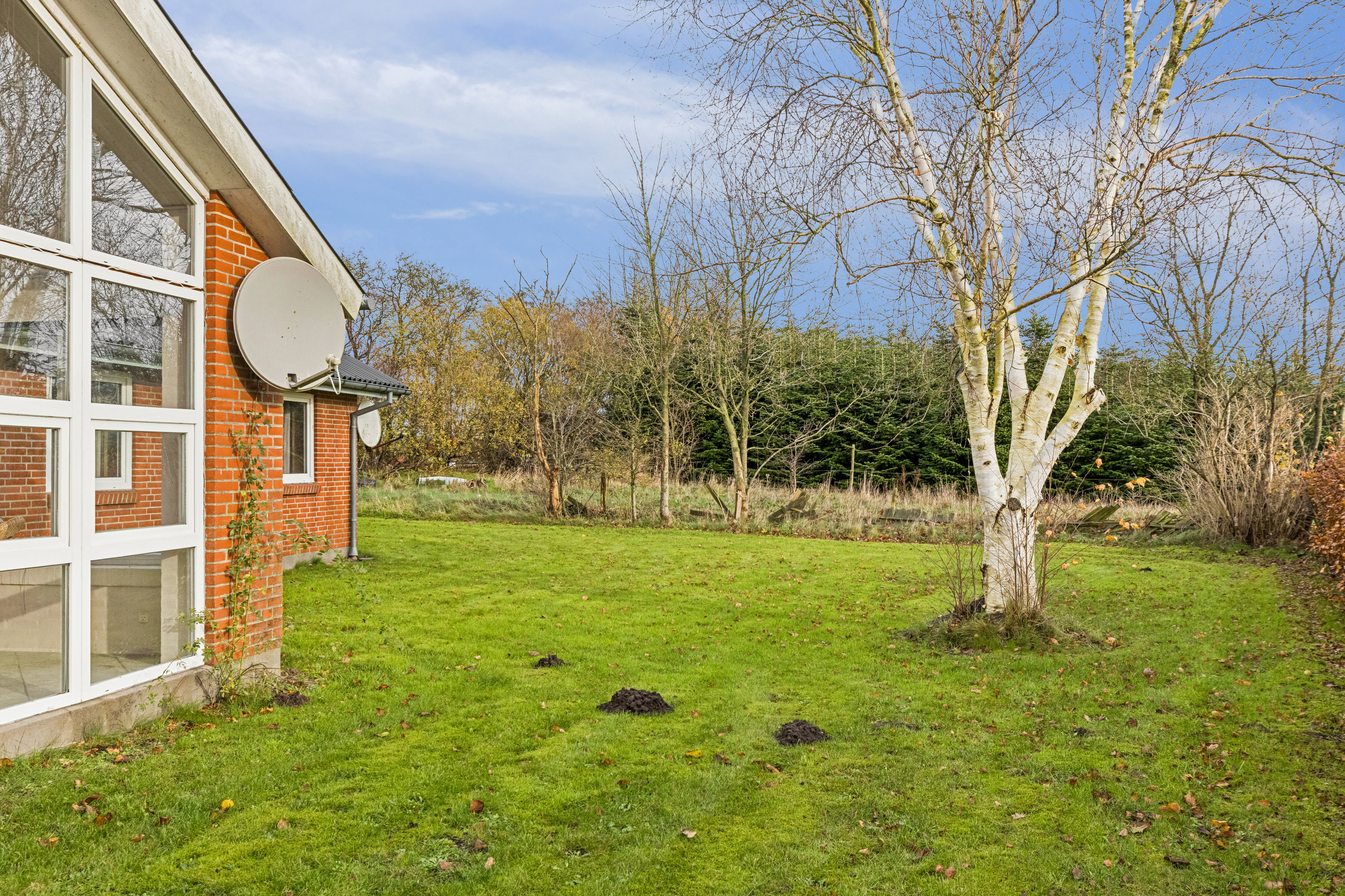 Fremhævet have billede i fuldskærmstilstand. Billede af Roagervej 281, Kirkeby, 6760 Ribe