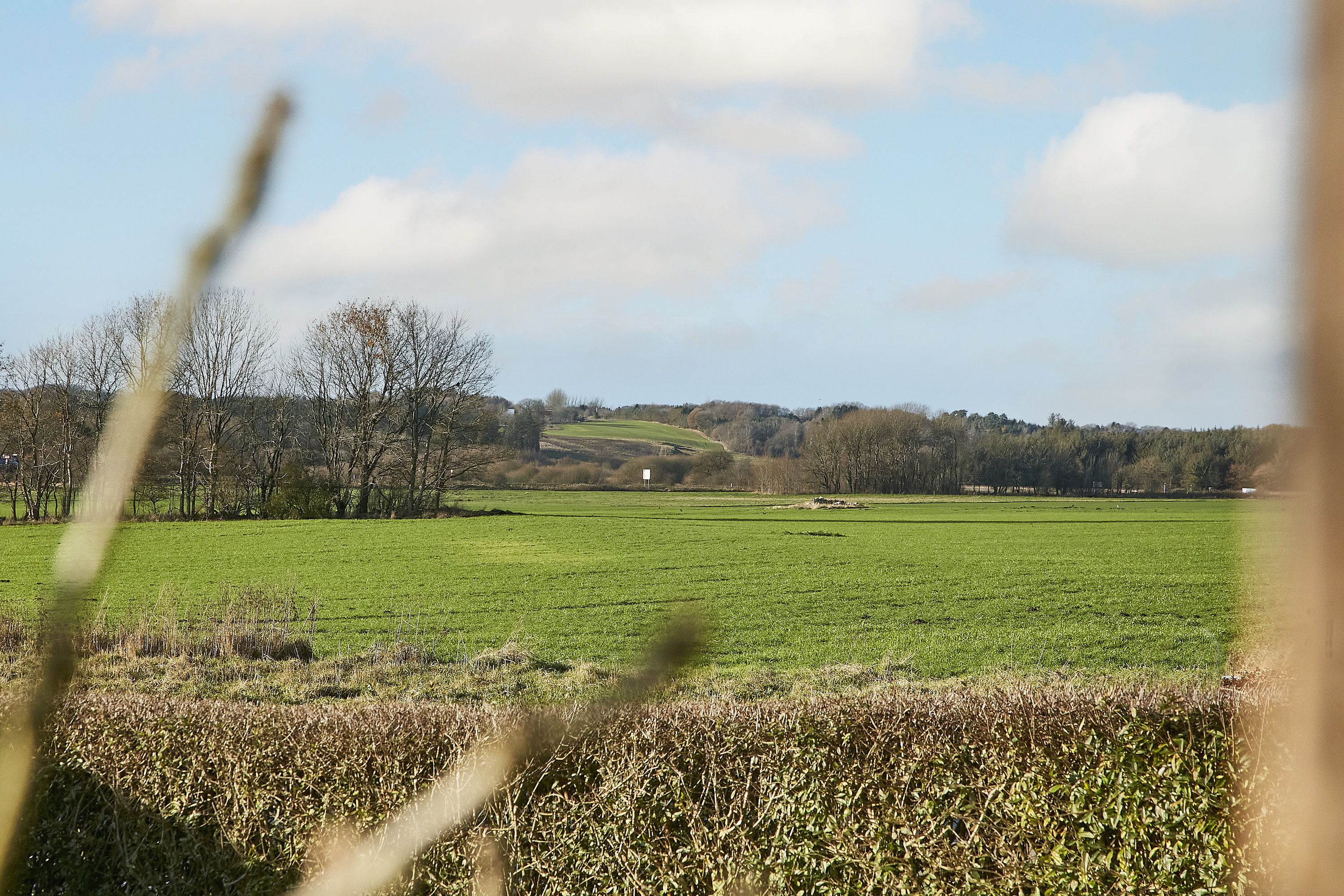 Fremhævet udsigt billede i fuldskærmstilstand. Billede af Viborgvej 32, 7160 Tørring