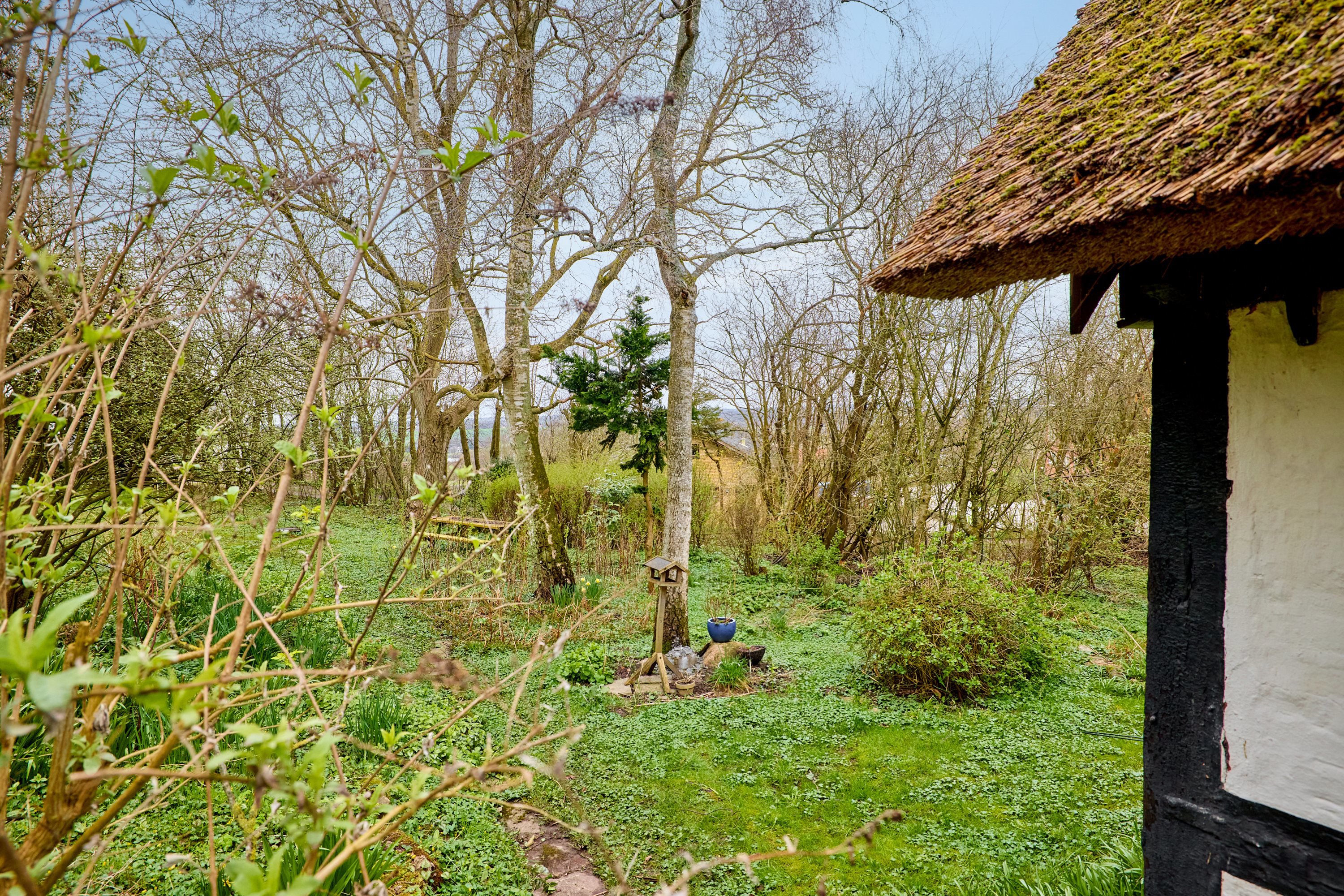 Fremhævet have billede i fuldskærmstilstand. Billede af Trindballevej 15, Ormslev, 8260 Viby J