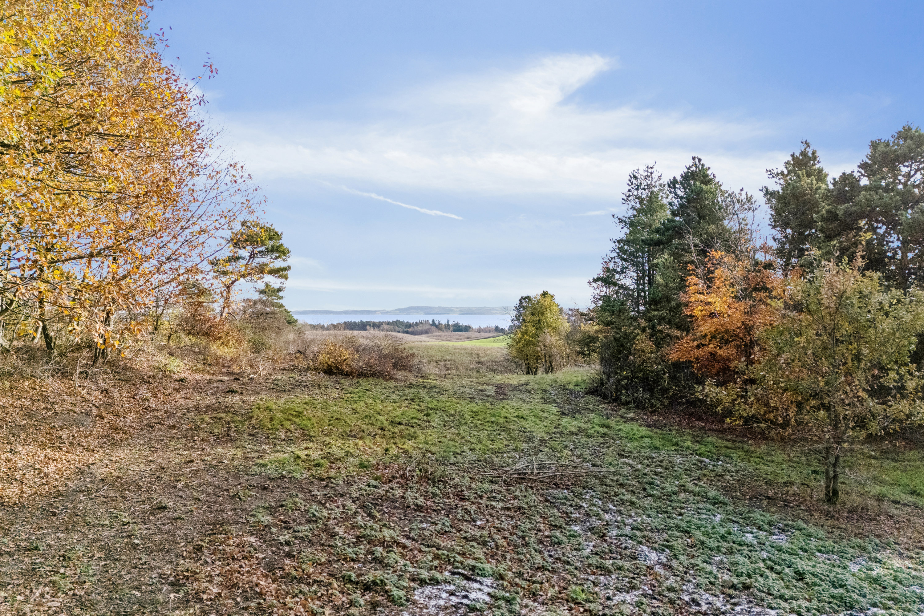 Fremhævet have billede i fuldskærmstilstand. Billede af Agavevej 32B, Begtrup Vig, 8420 Knebel