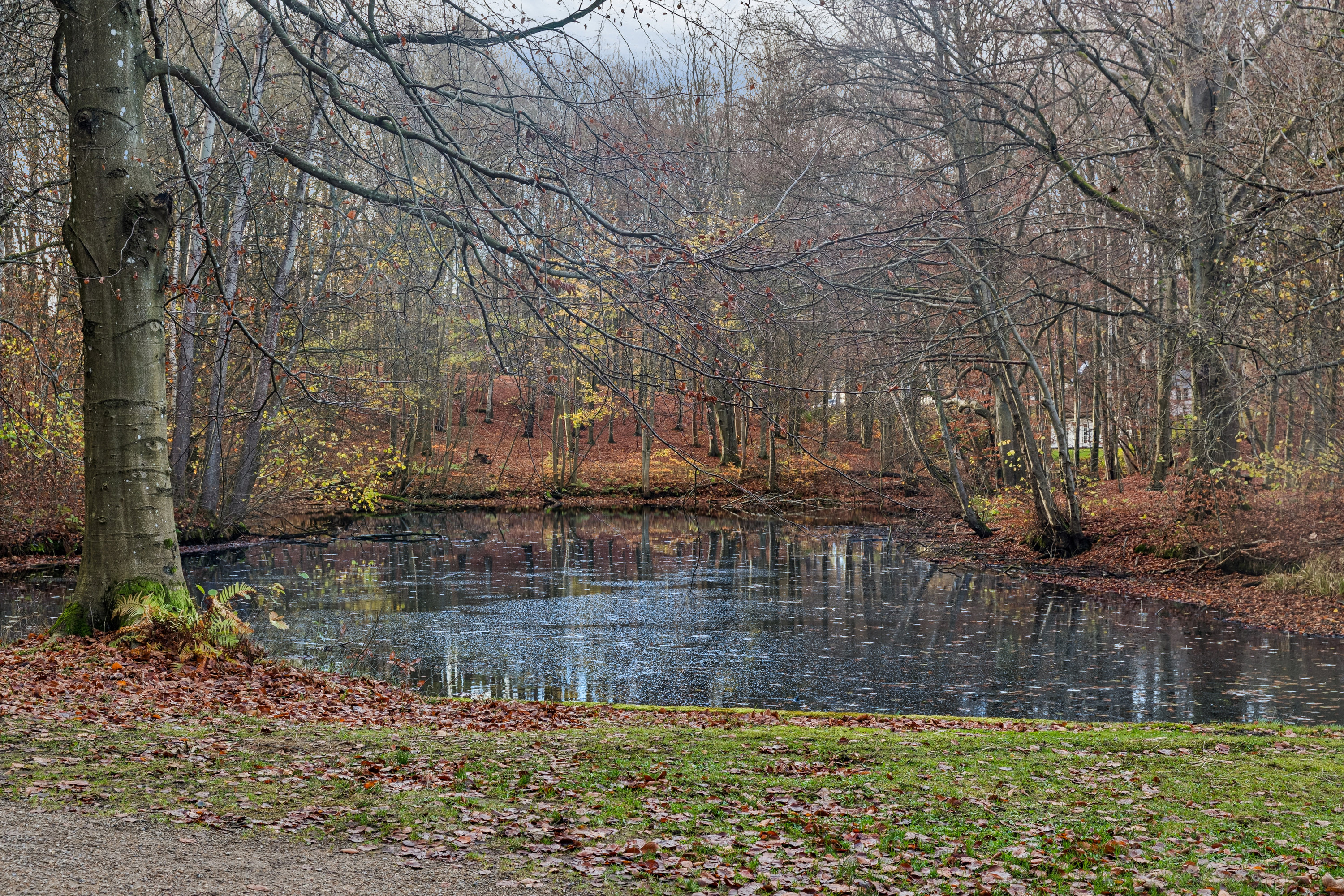 Fremhævet omgivelser billede i fuldskærmstilstand. Billede af Turbinevej 38, 3150 Hellebæk