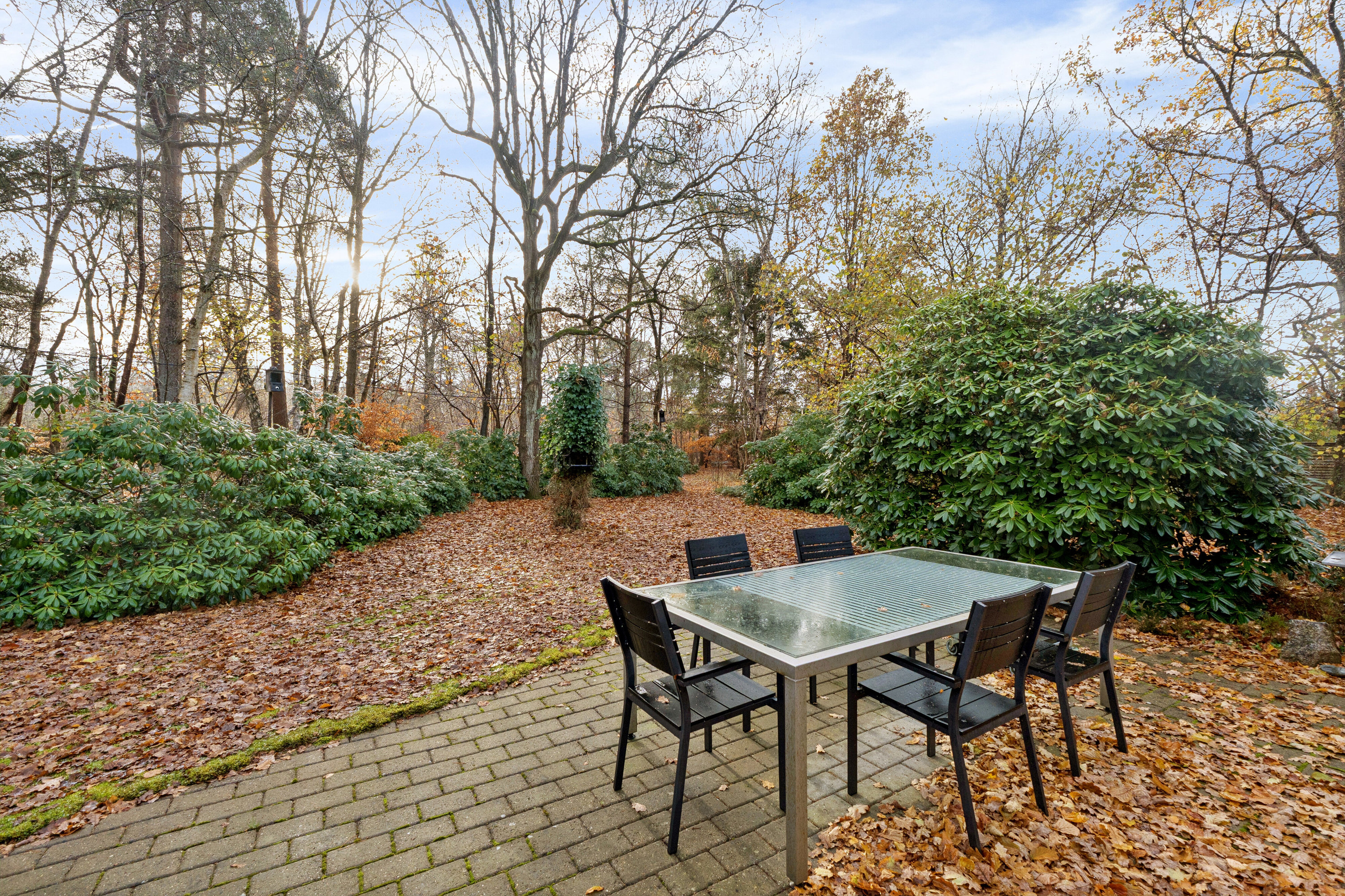 Fremhævet terrasse billede i fuldskærmstilstand. Billede af Gyvelvej 1, Asserbo, 3300 Frederiksværk