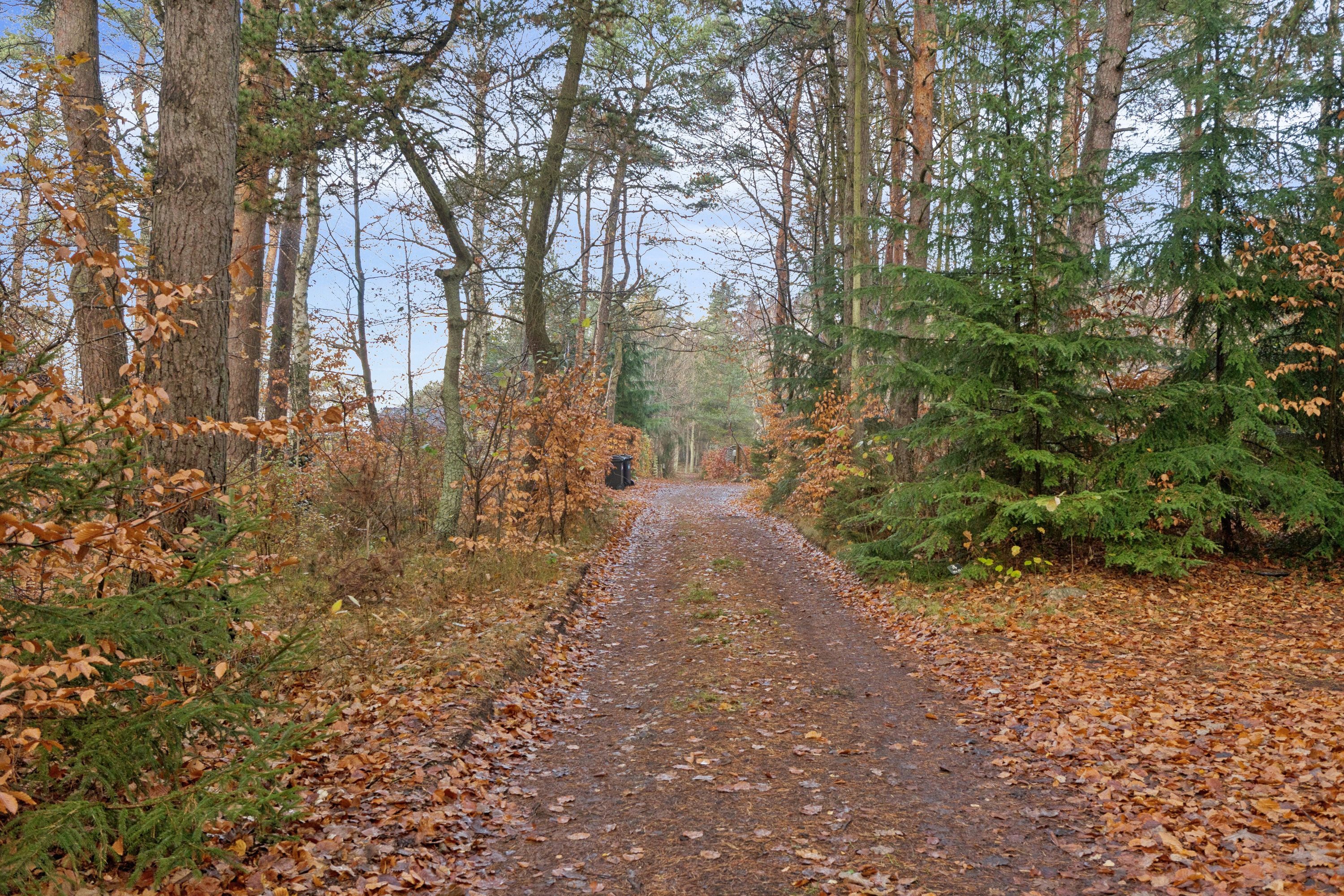 Fremhævet omgivelser billede i fuldskærmstilstand. Billede af Gyvelvej 1, Asserbo, 3300 Frederiksværk