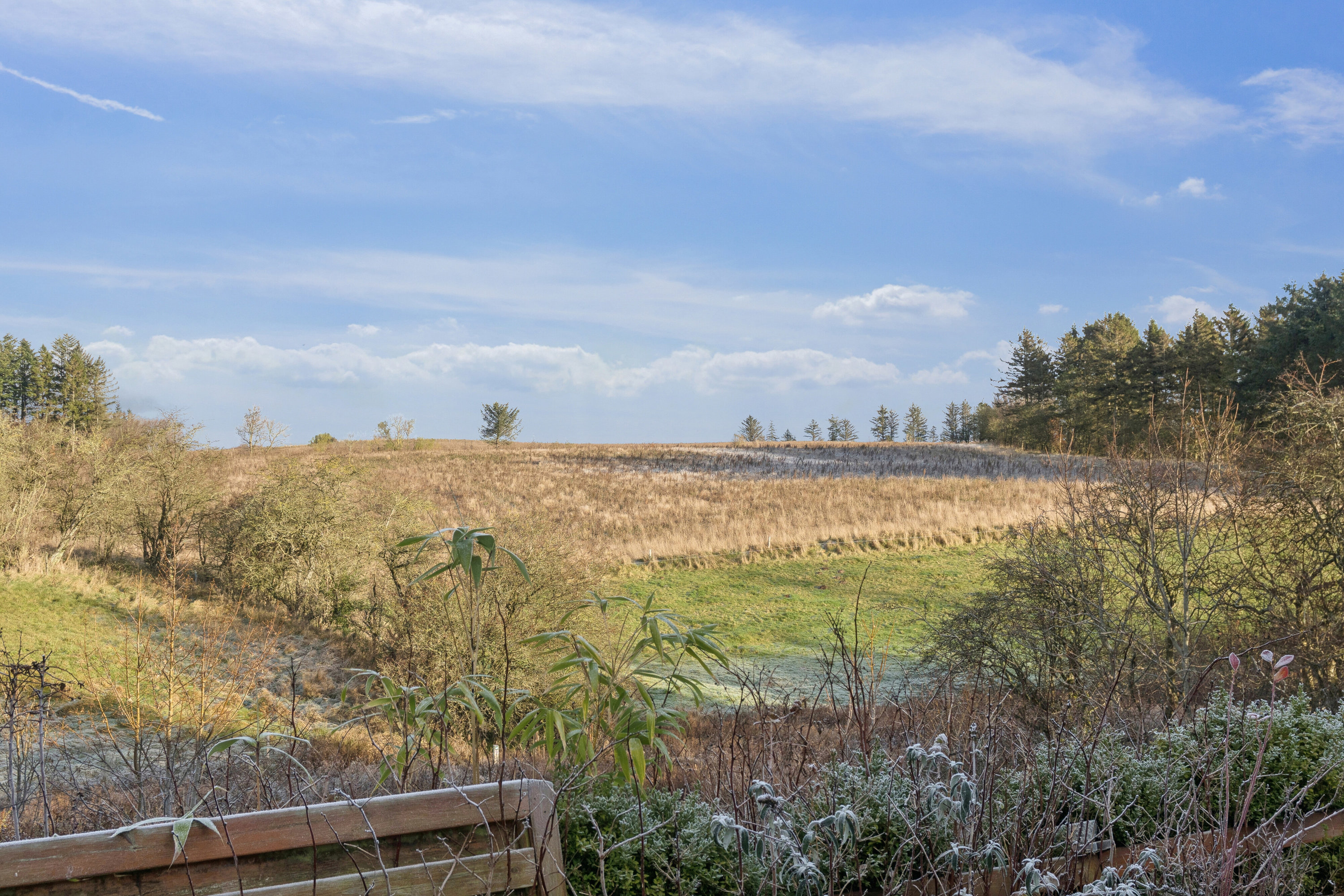 Fremhævet have billede i fuldskærmstilstand. Billede af Kærvænget 11, Astrup, 9800 Hjørring