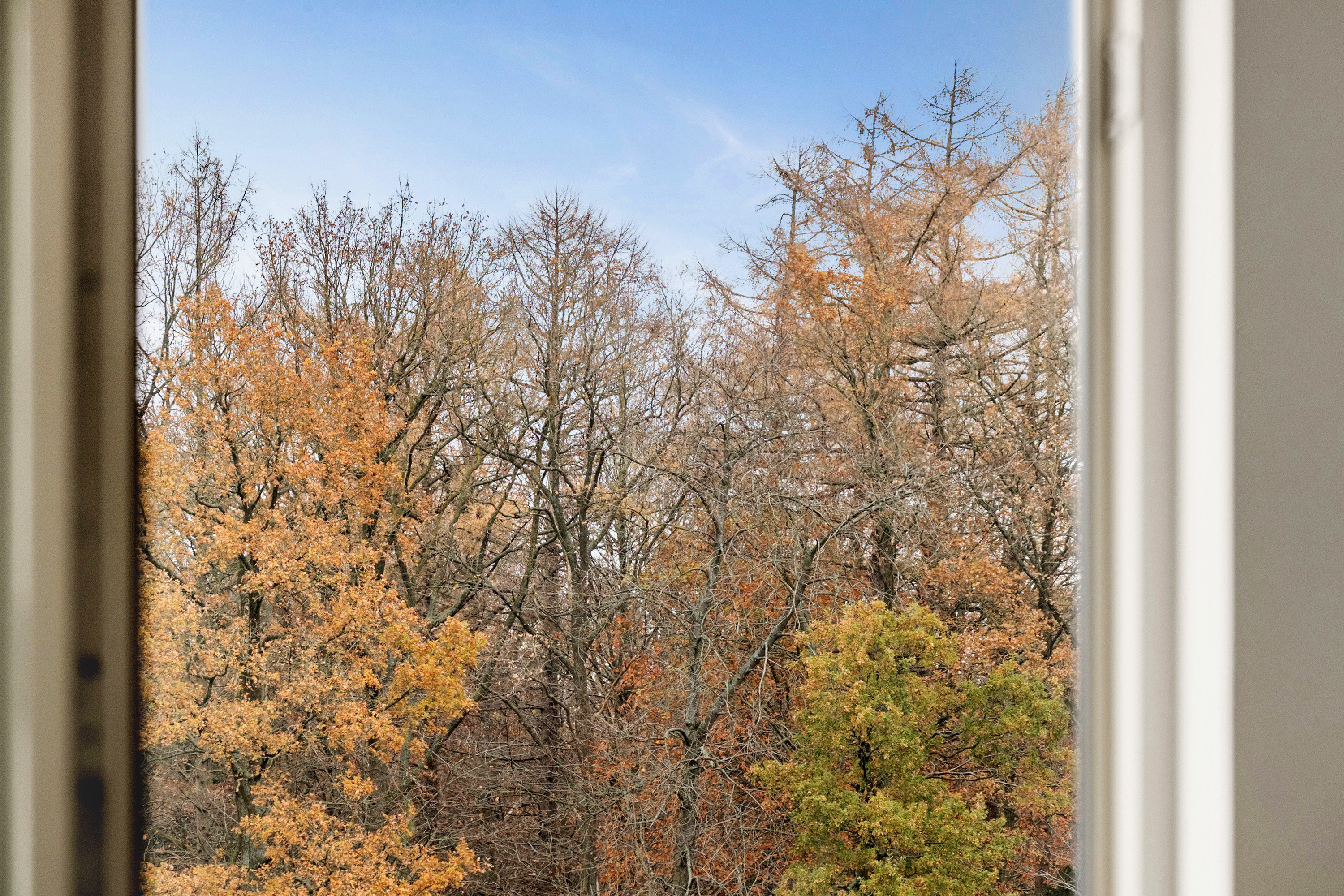 Fremhævet værelse billede i fuldskærmstilstand. Billede af Skovkrogen 8, 3450 Allerød