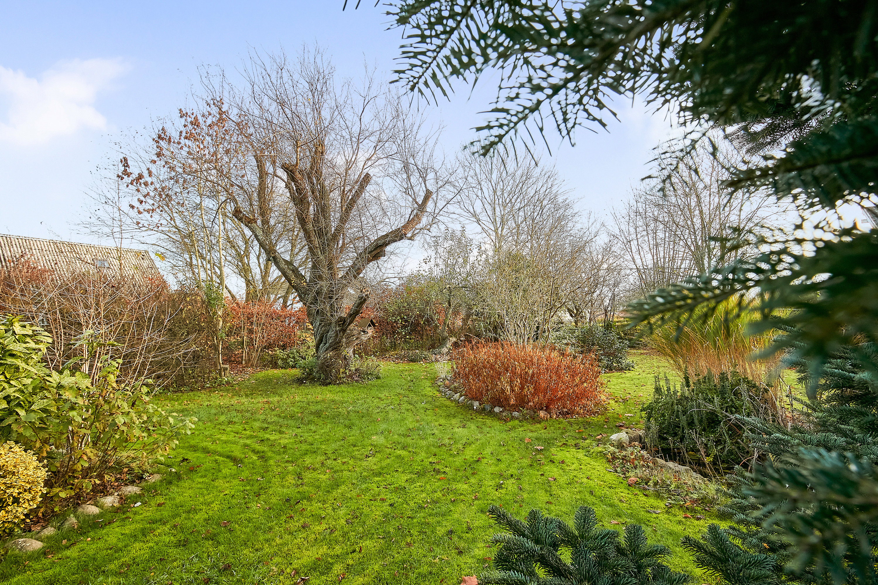 Fremhævet have billede i fuldskærmstilstand. Billede af Honum Skovvej 3, 8762 Flemming