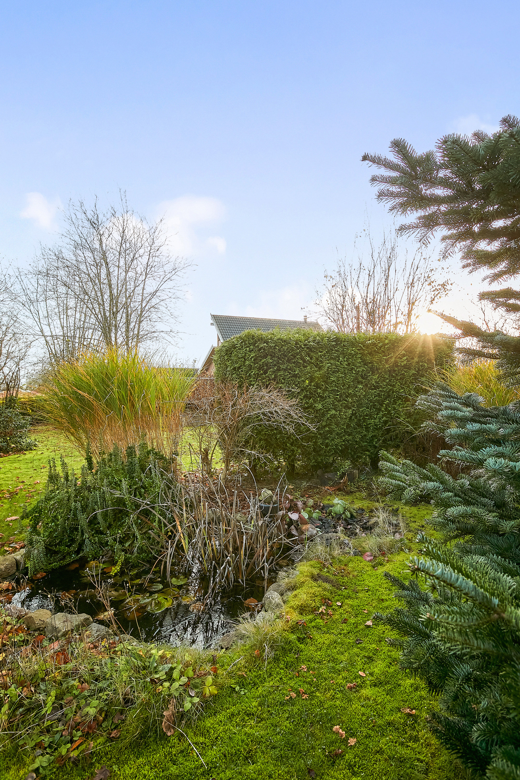 Fremhævet have billede i fuldskærmstilstand. Billede af Honum Skovvej 3, 8762 Flemming