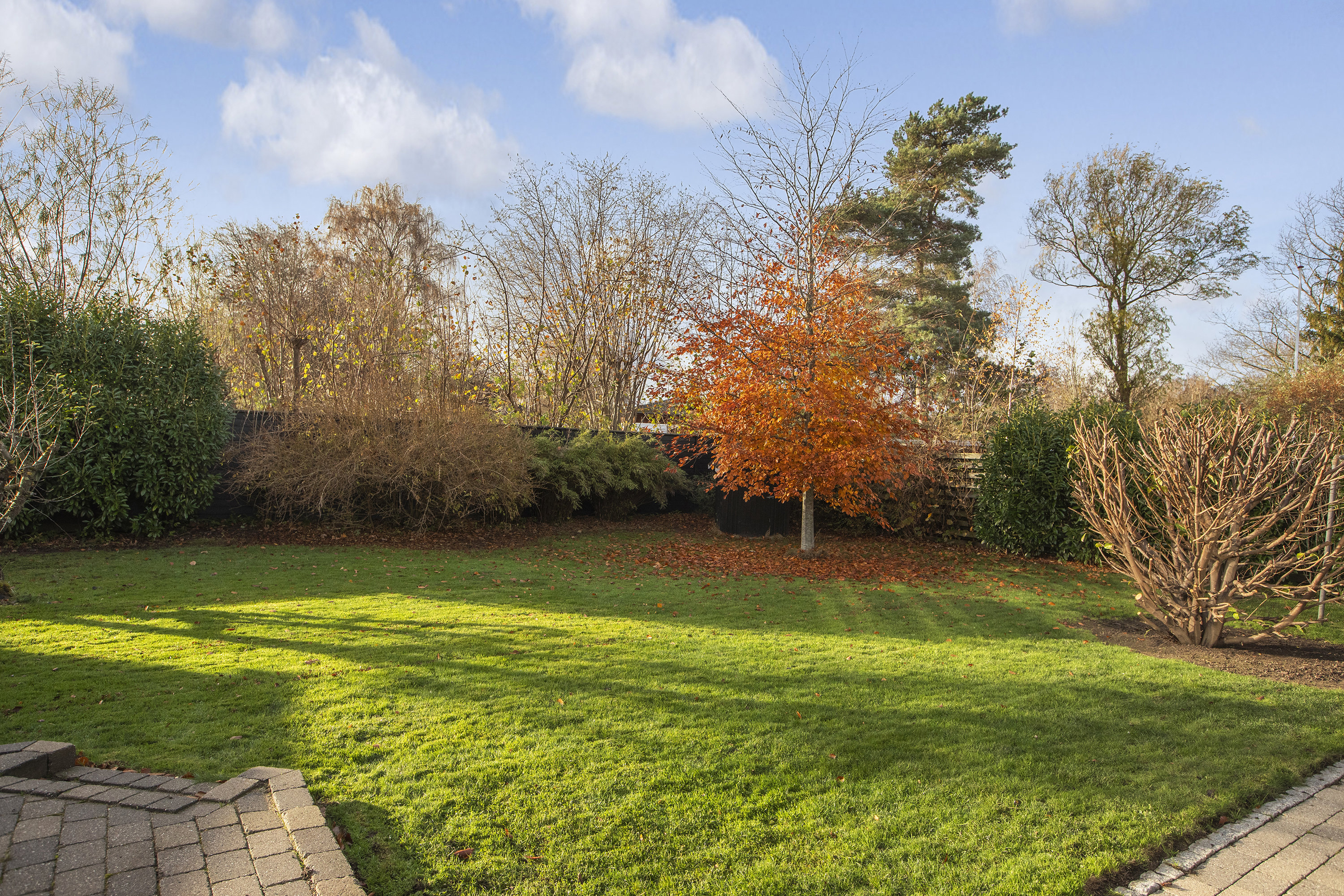 Fremhævet have billede i fuldskærmstilstand. Billede af Vibyvej 5, 2740 Skovlunde